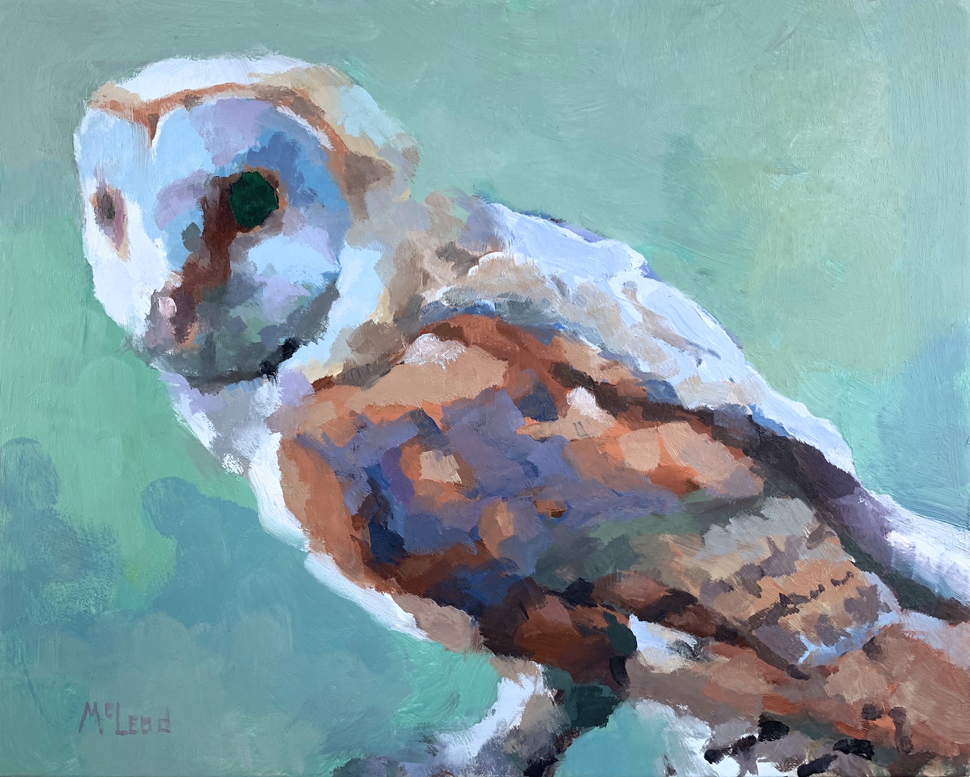 Barn Owl by John McLeod