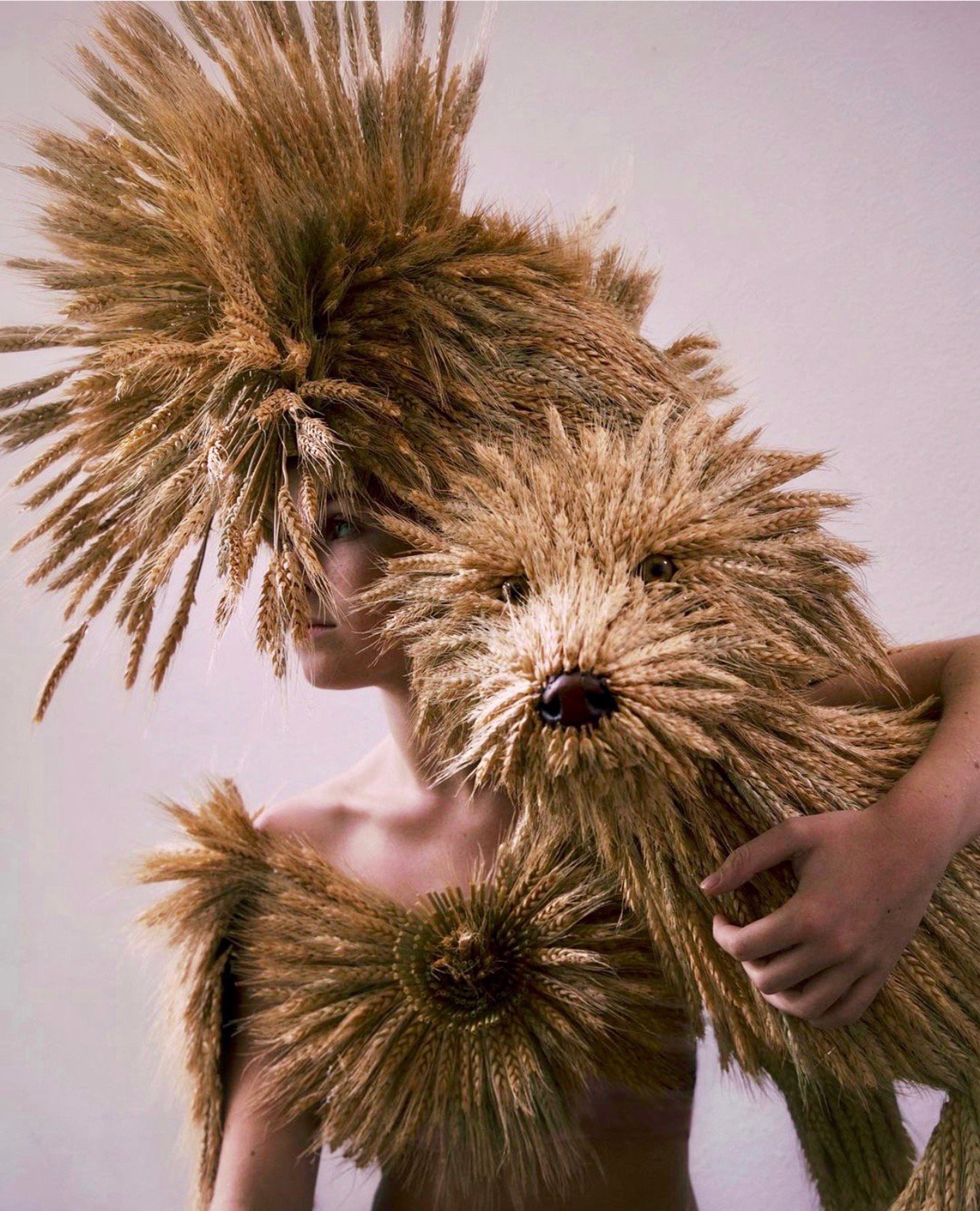 Wheat dog - Skins Series by Melissa Meier