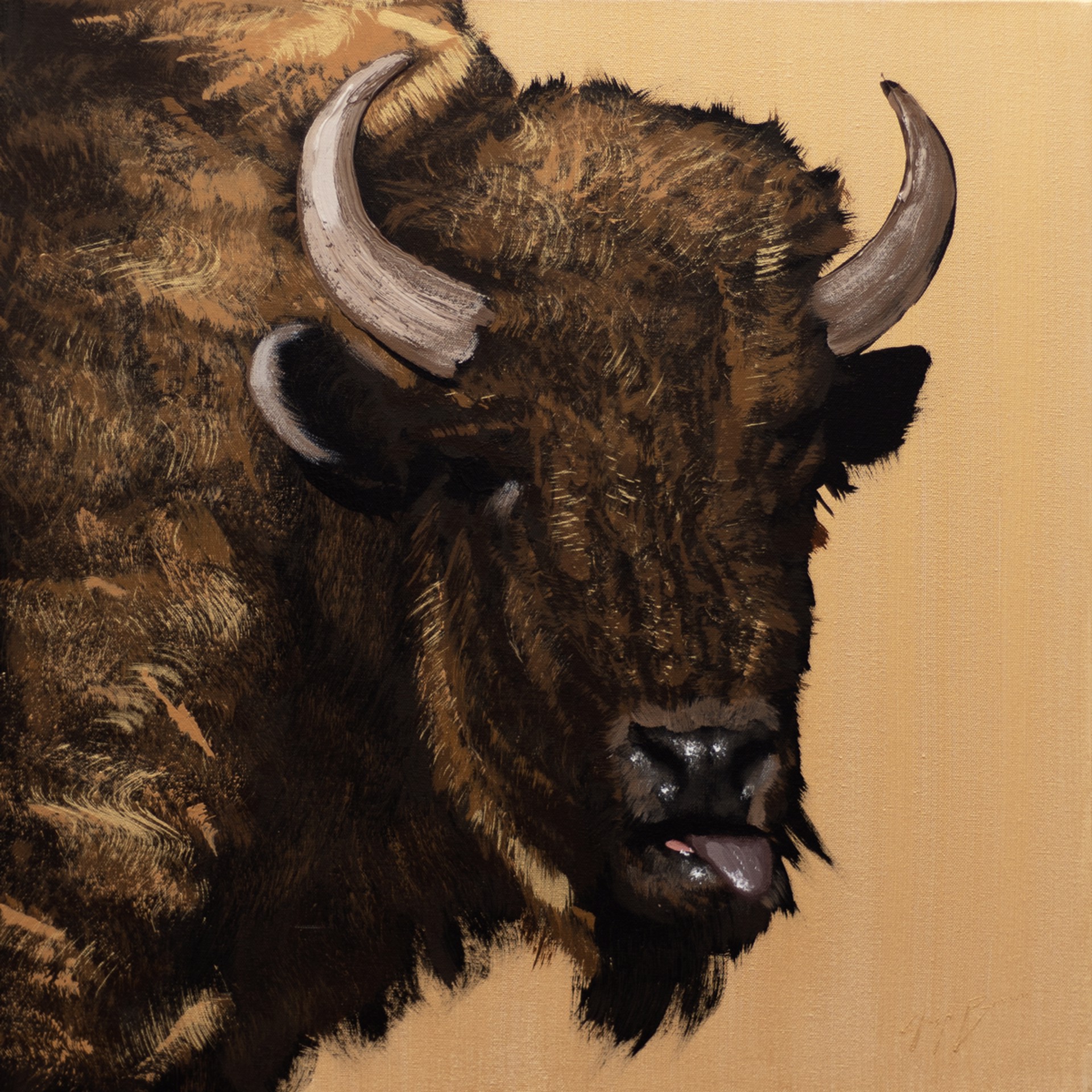 Bison on Gold by Josh Brown