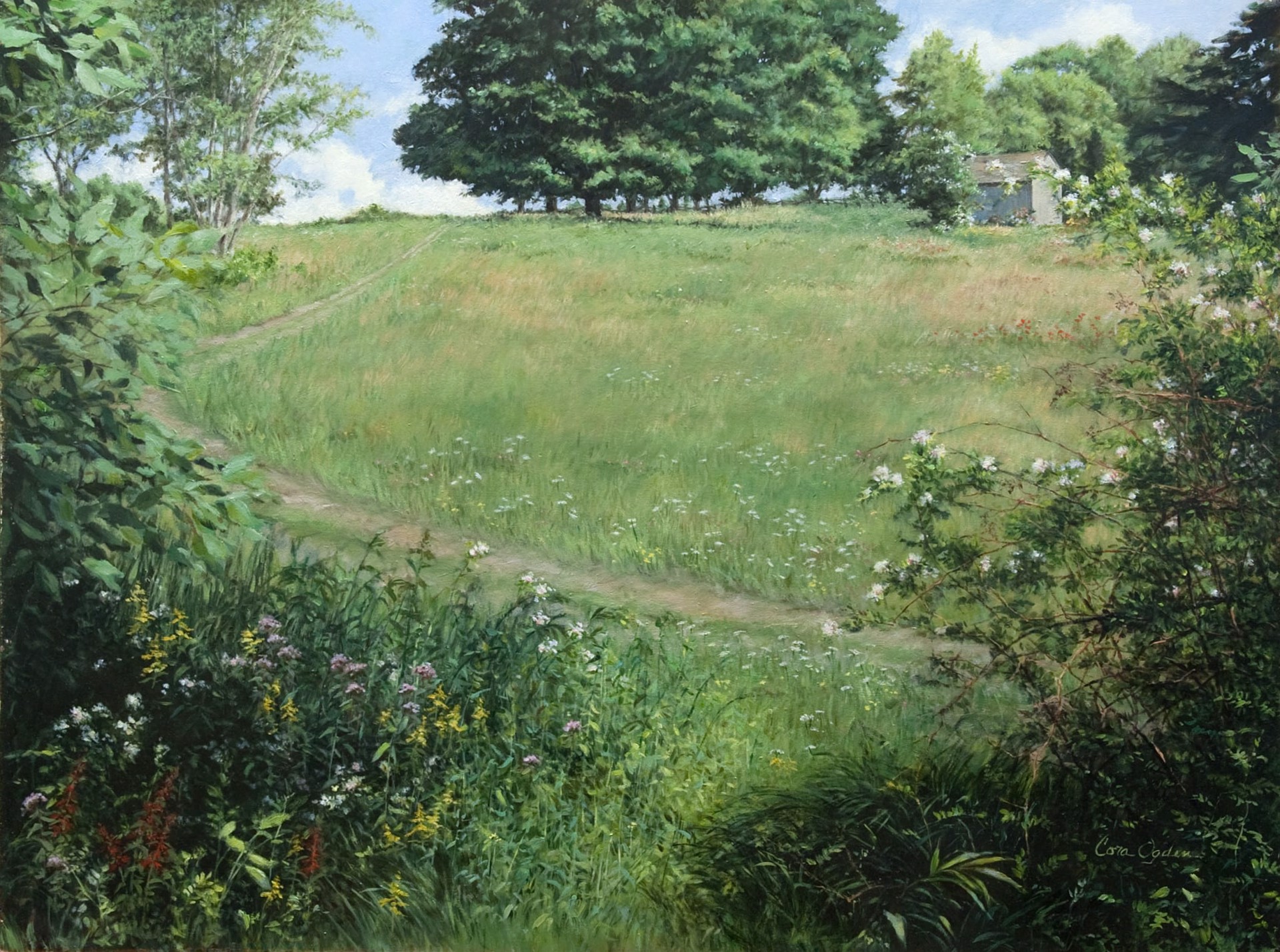 High Summer Meadow by Cora Ogden