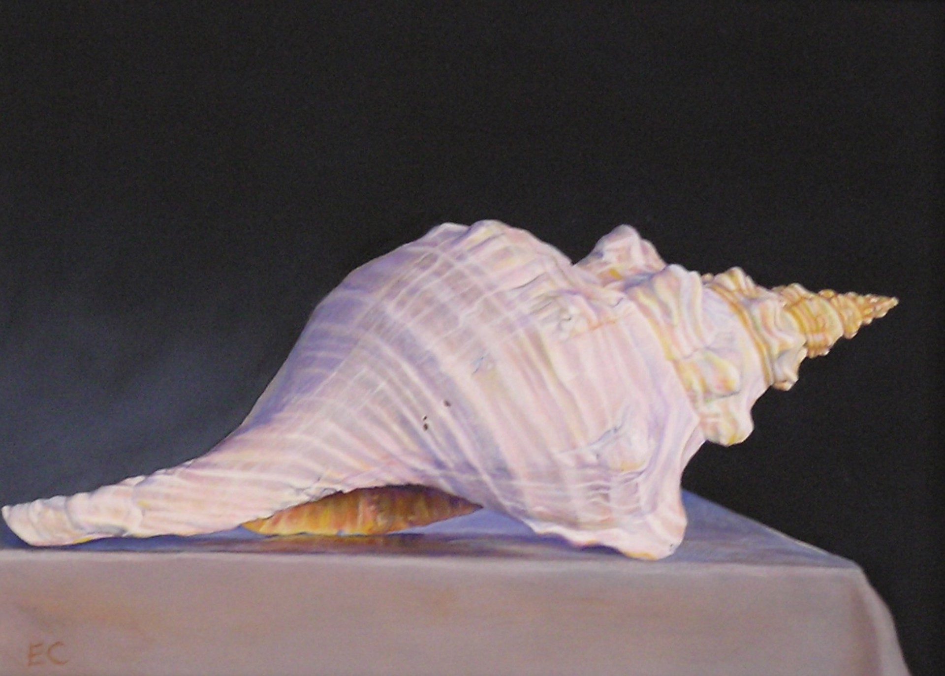 Sea Shell by Eileen Catbagan
