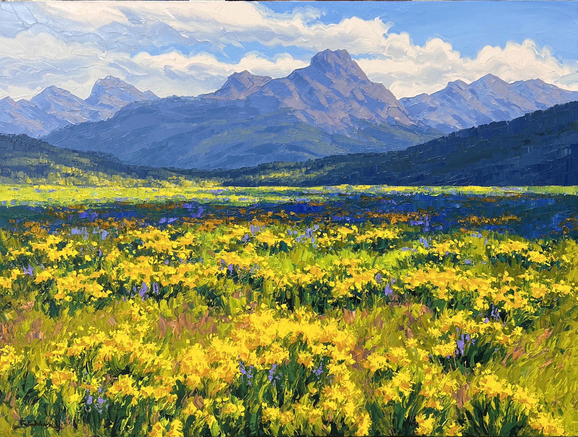 Front Range Wildflowers by Robert E Wood