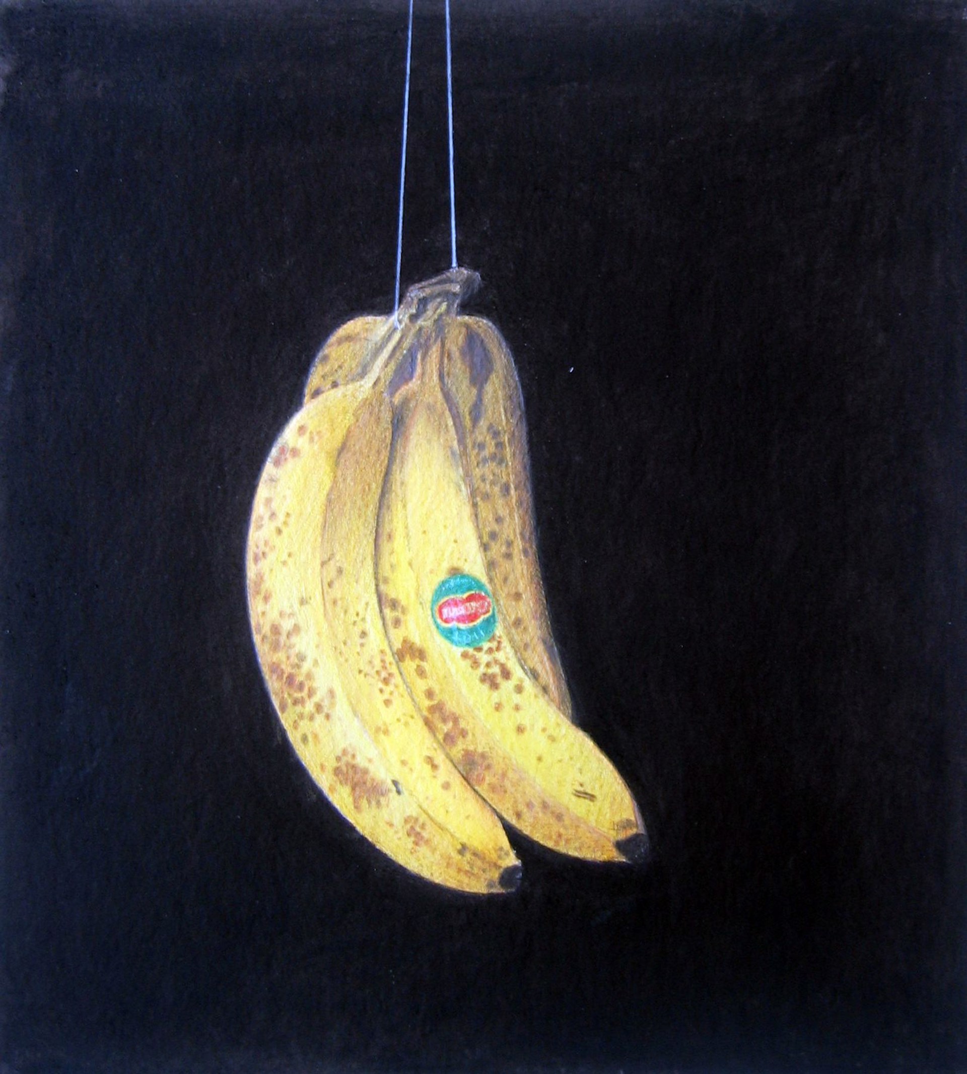 Untitled (Suspended Bananas) by Donald Campbell