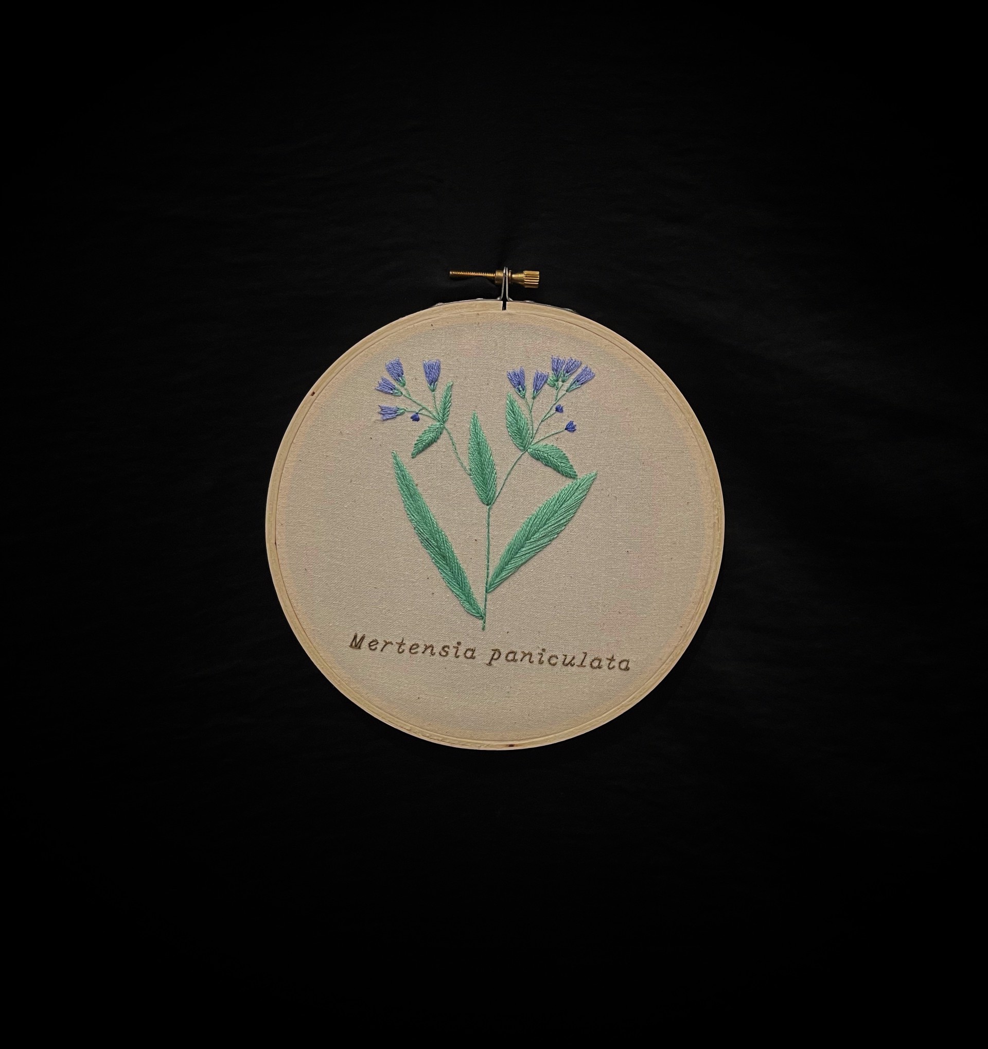 Mertensia Paniculata by Kate Adams