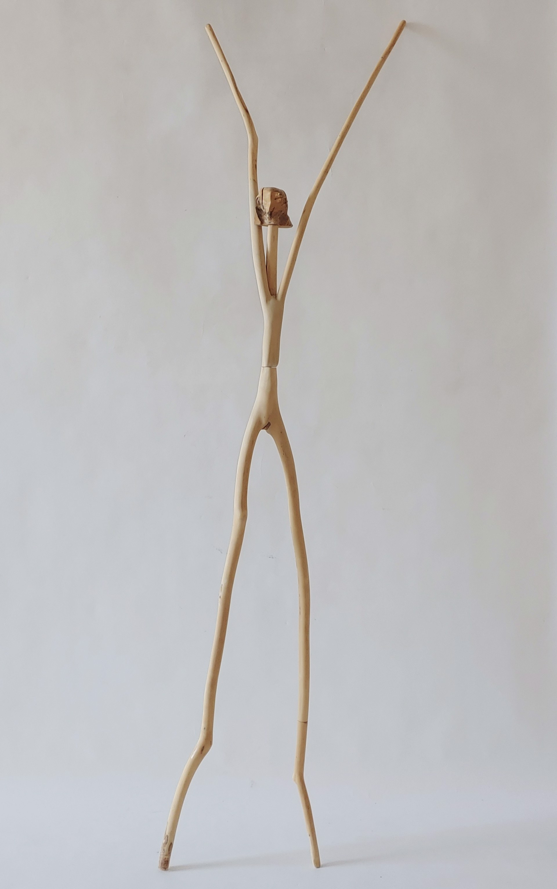 Rejoicer #2 - Wood Sculpture by David Amdur