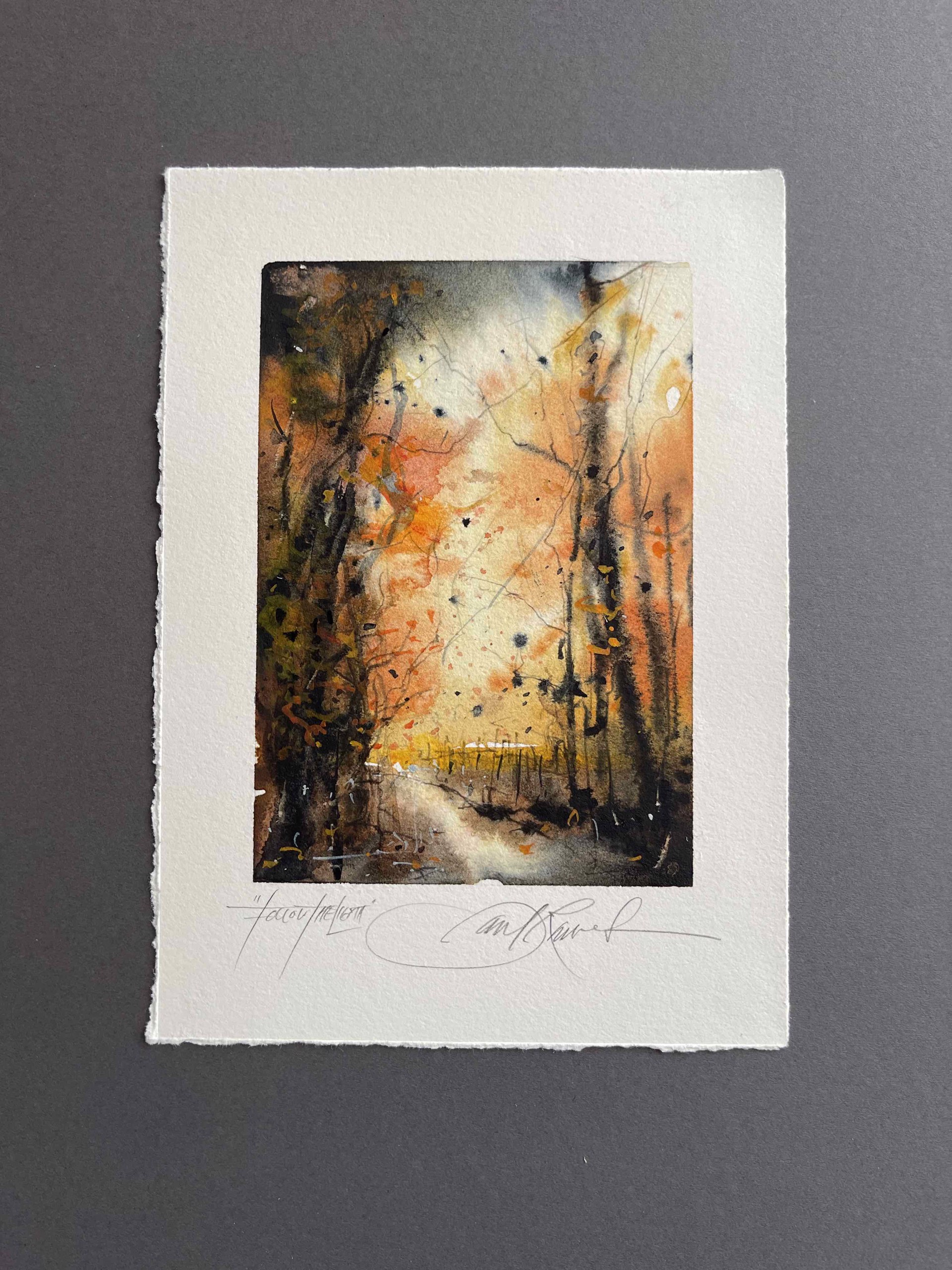 Follow the Light by David Rawlinson