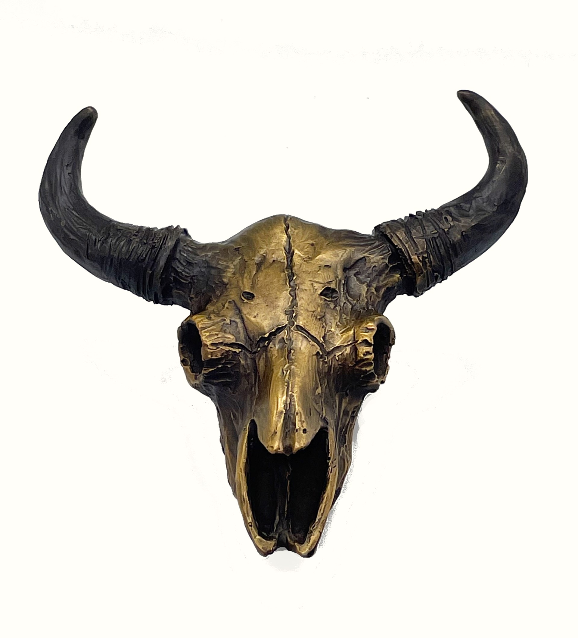 Buffalo Skull by Diana Simpson