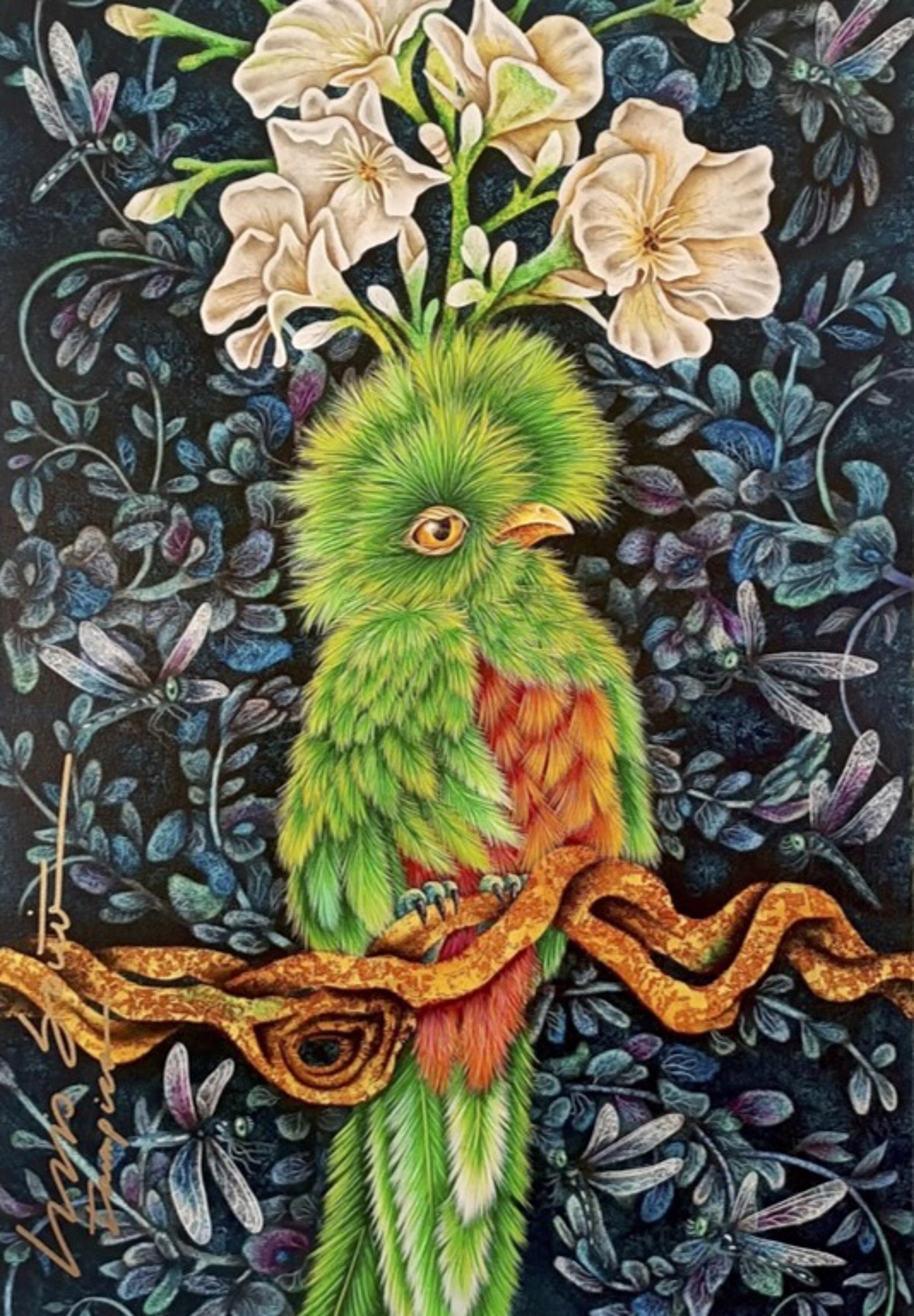 Quetzal by Luis Sottil