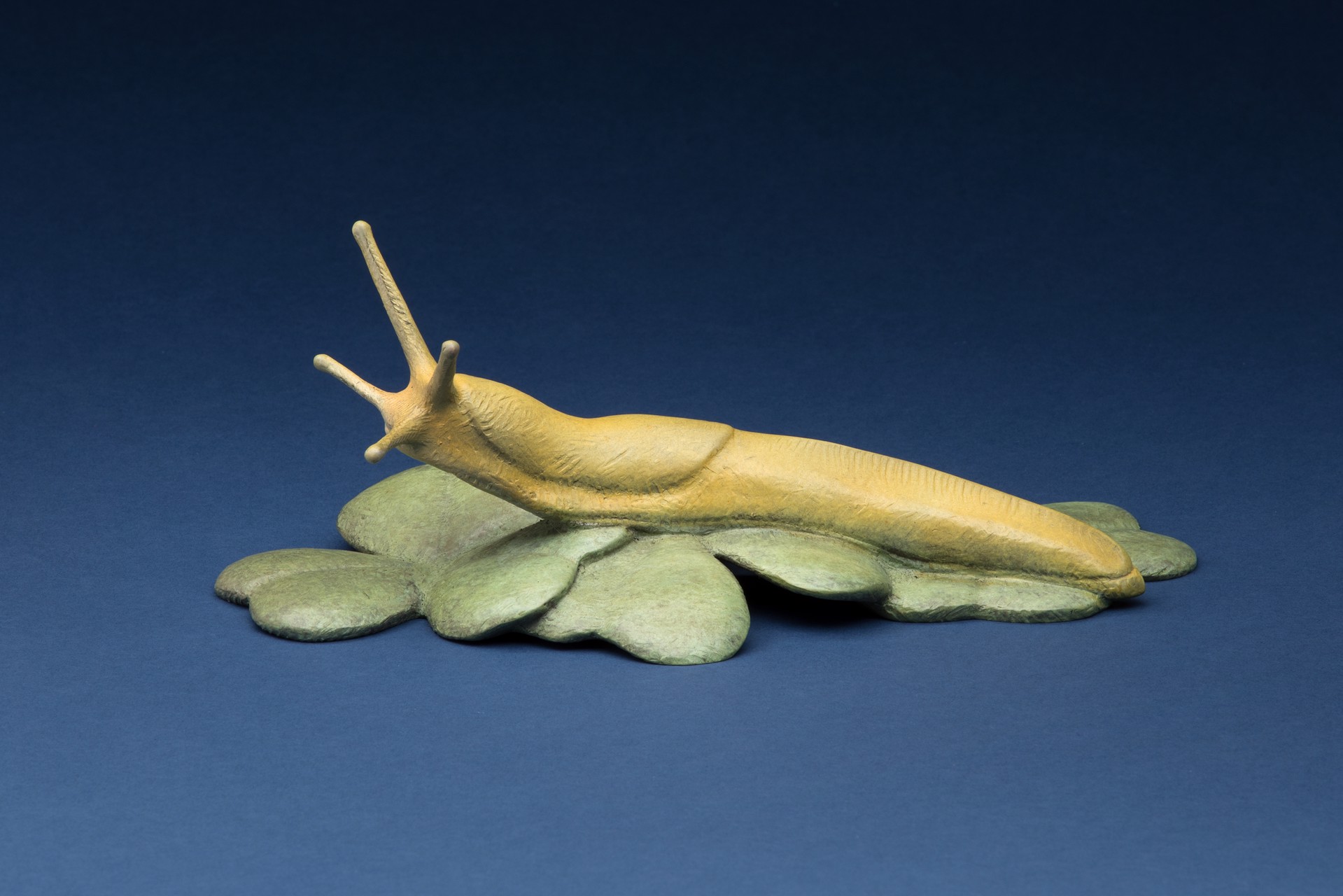 Banana Slug by Tony Hochstetler