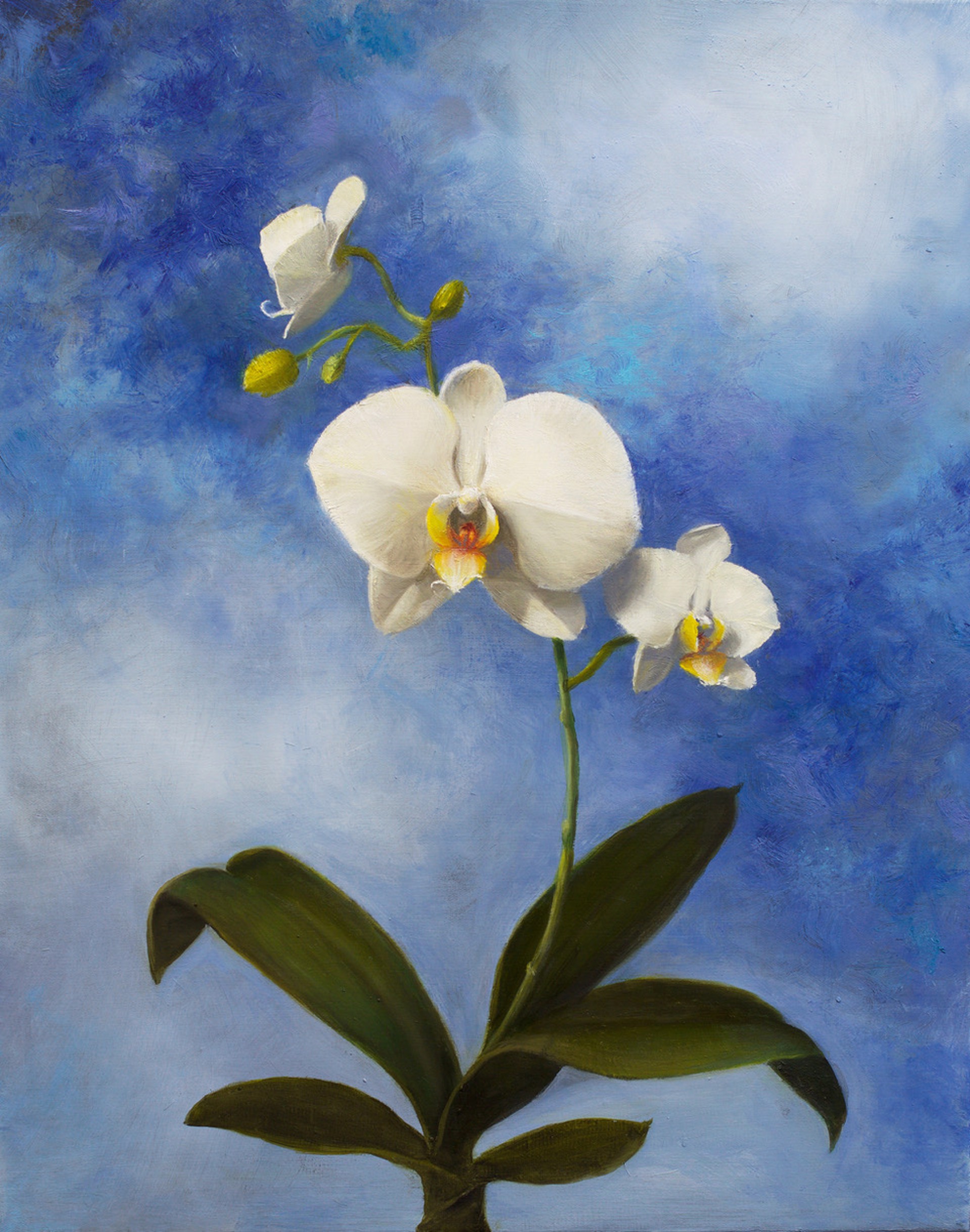 Heavenly Orchid by Patt Baldino
