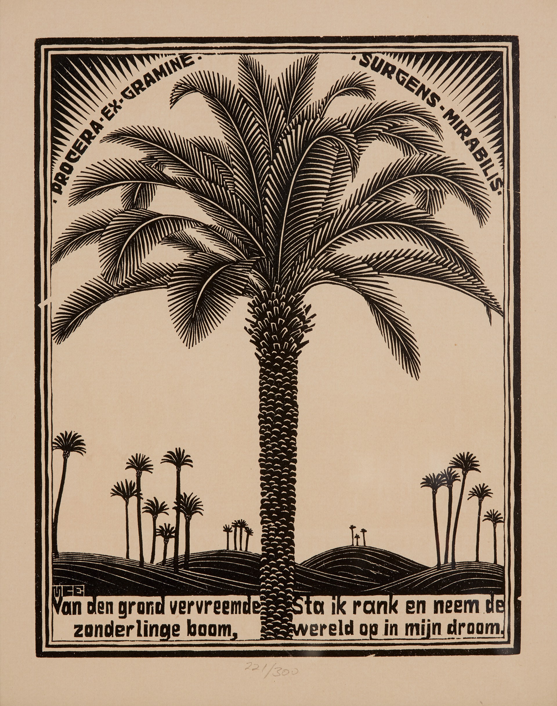 Emblemata - Palm Tree by M.C. Escher