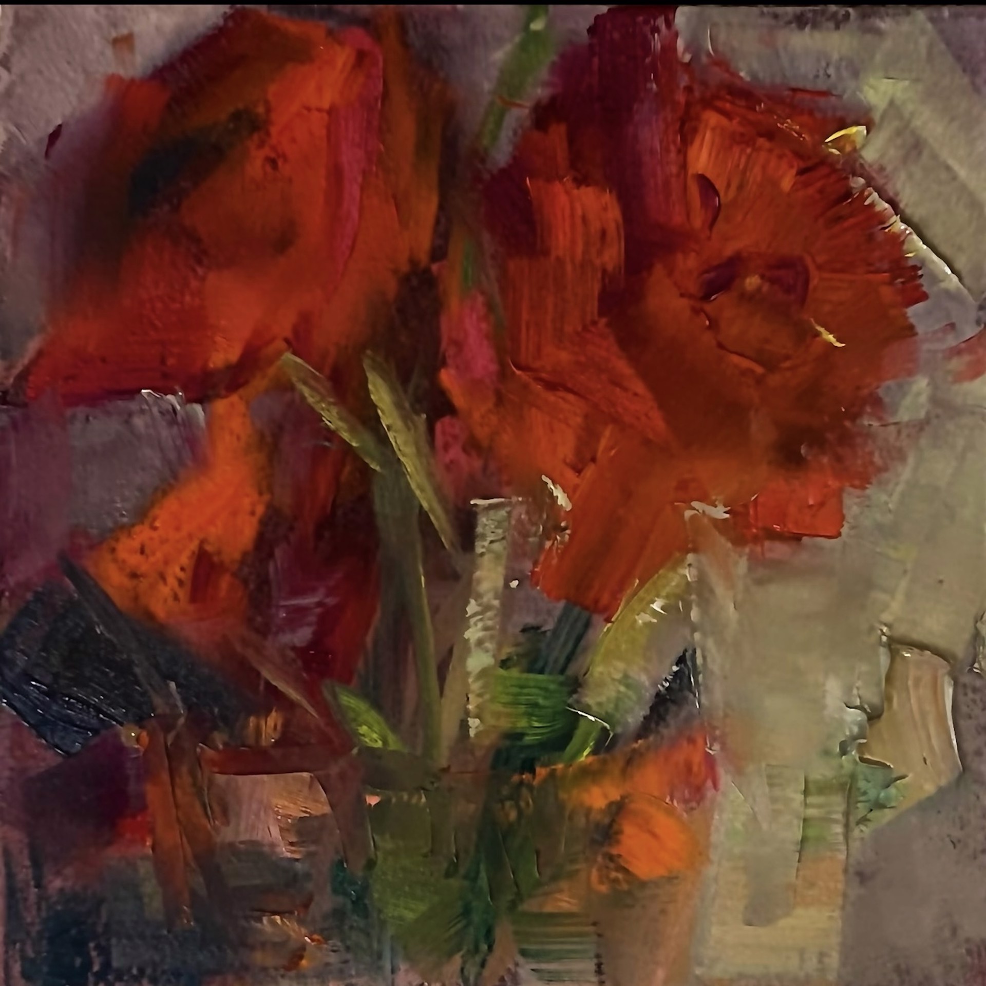 Red Hot Ranunculus by Ingrid Derrickson