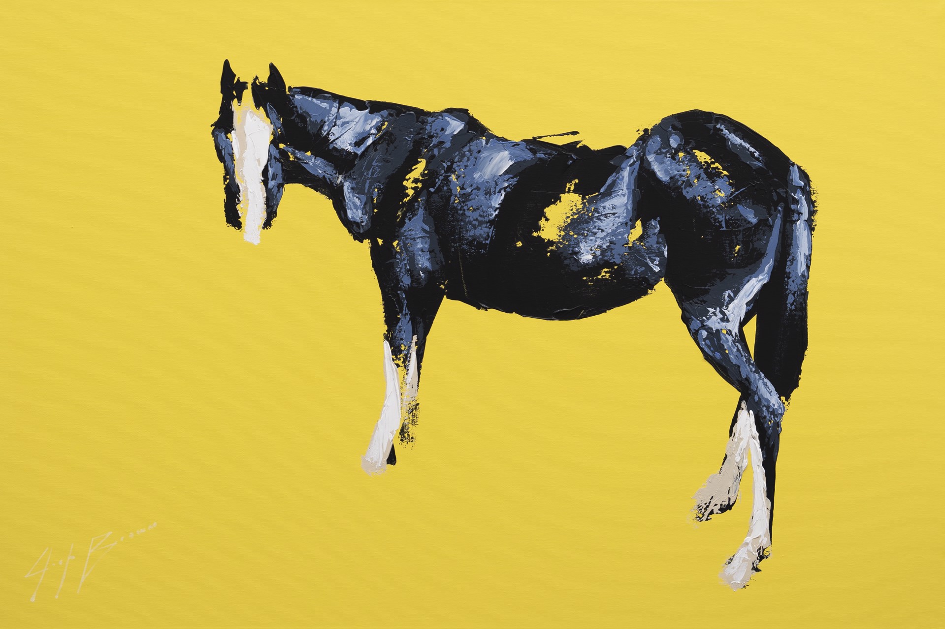 Horse on Yellow by Josh Brown