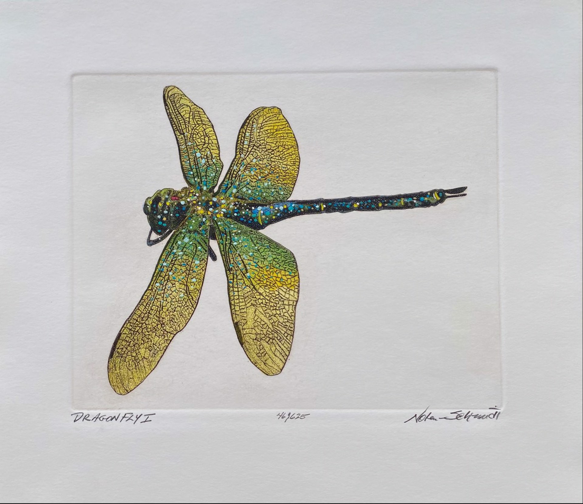 Dragonfly I  46/625 by William Nolen-Schmidt