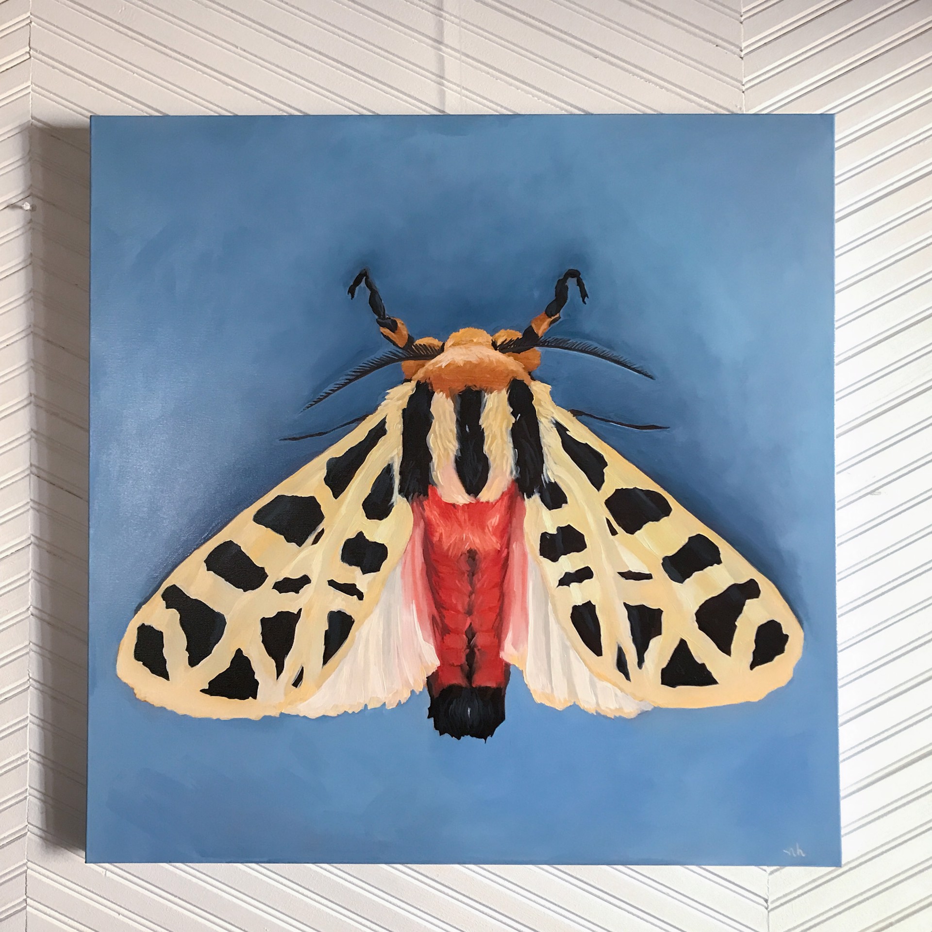 Mexican Tiger Moth by Noelle Holler