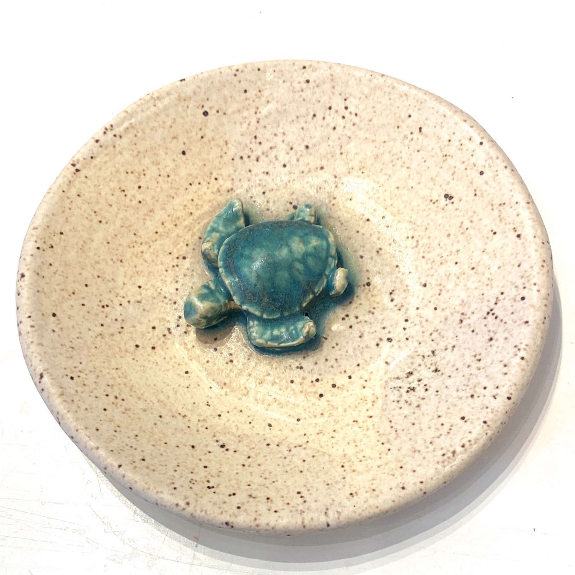Shallow Dish, Single Turtle Hatchling by Barbara Bergwerf, Ceramics