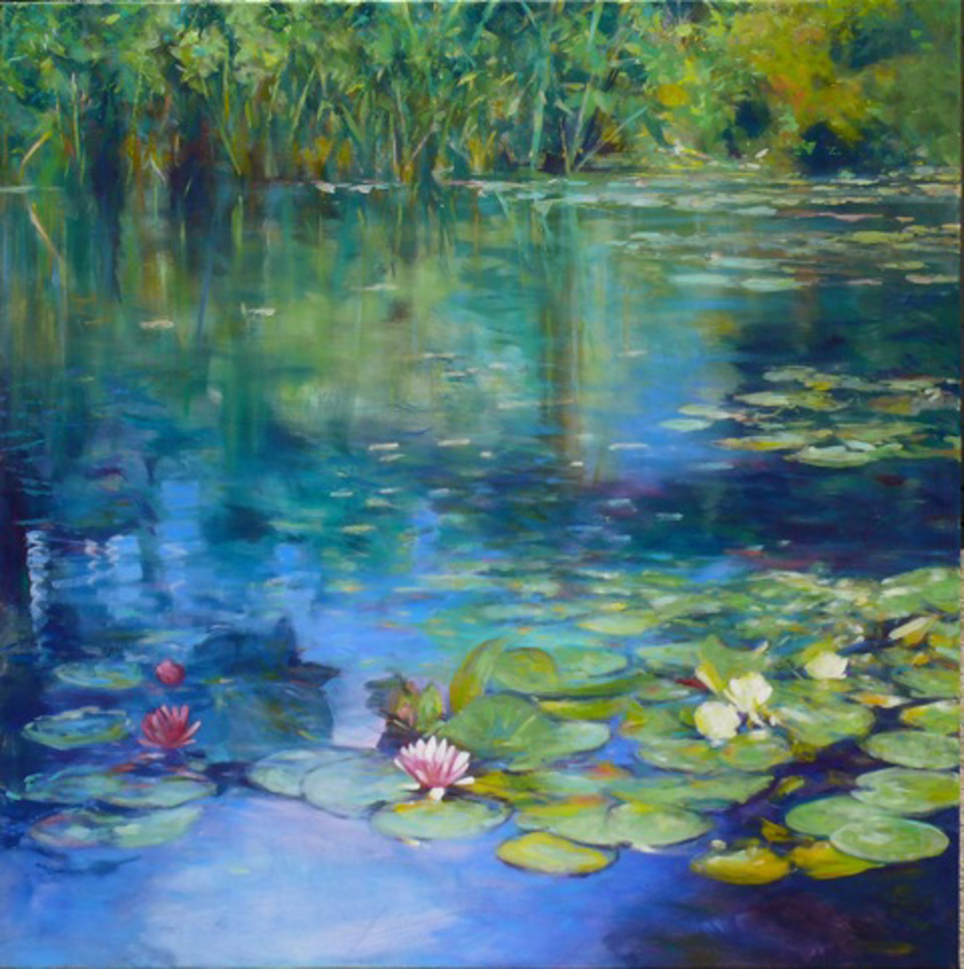 New Lilies by Paul Battams