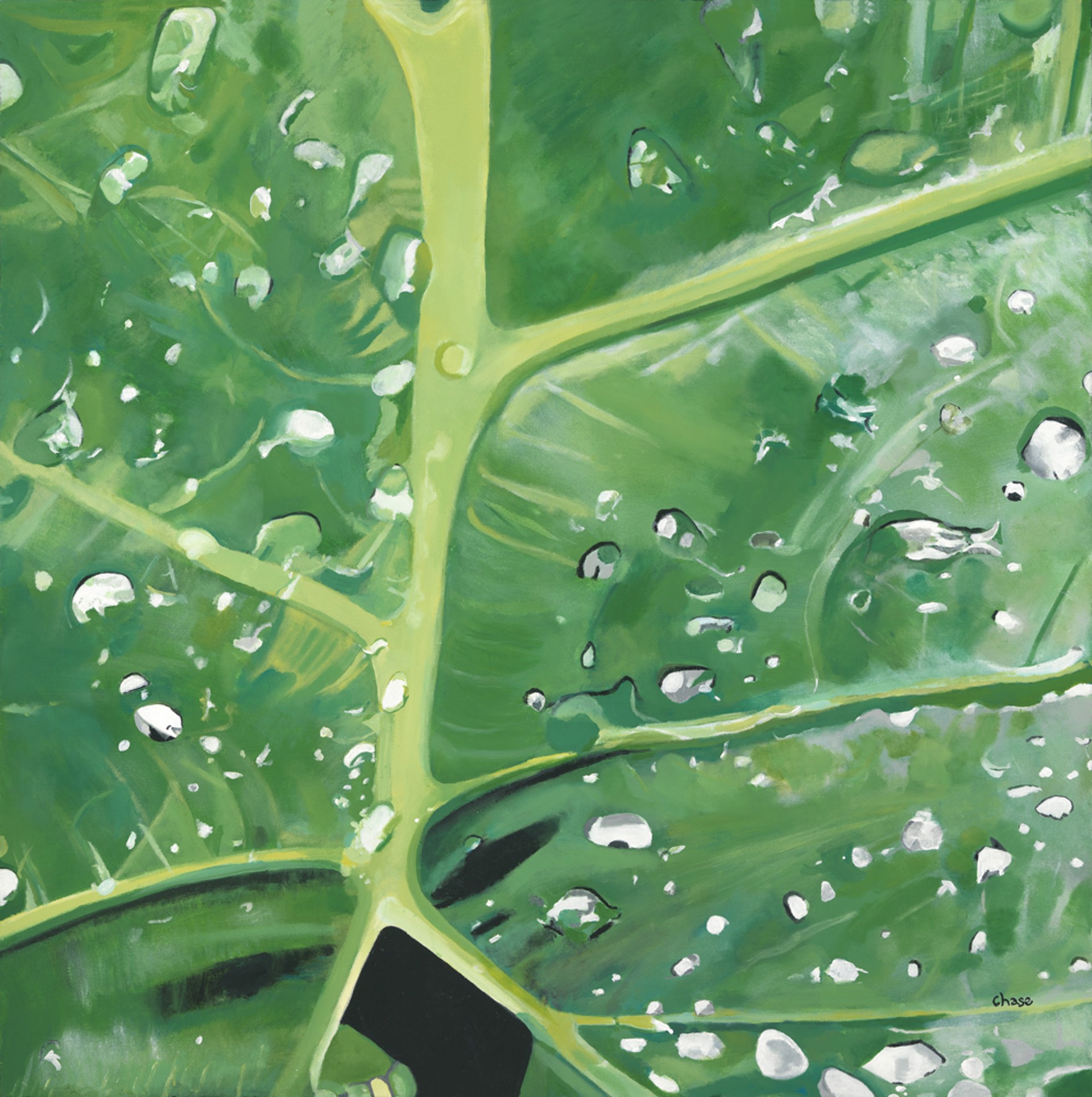 Wet Leaf by Abigail Miller