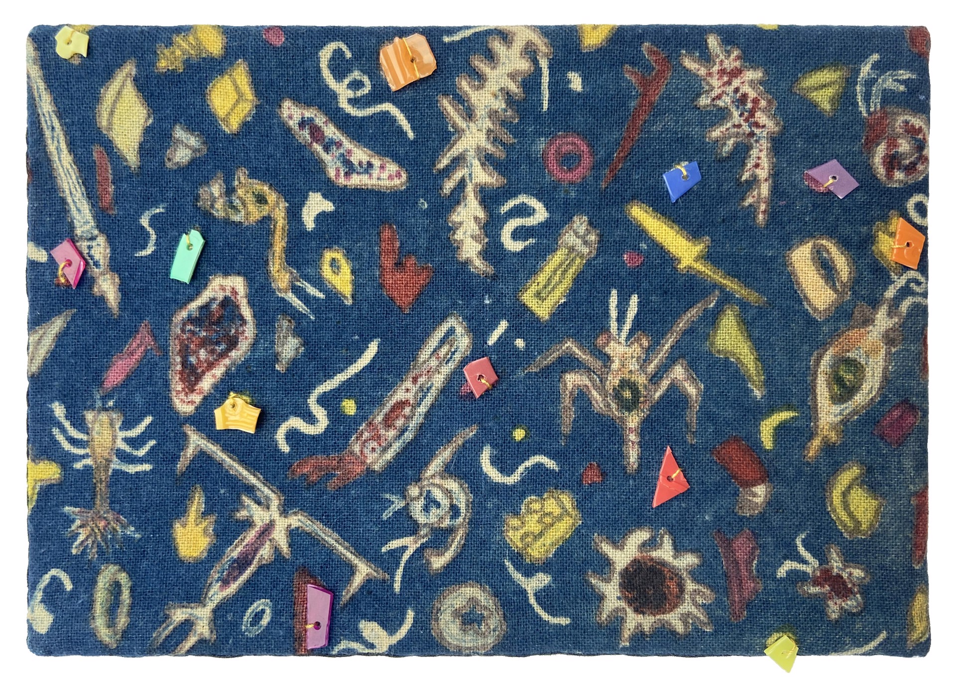 Plankton or Plastics by Jamie Bourgeois