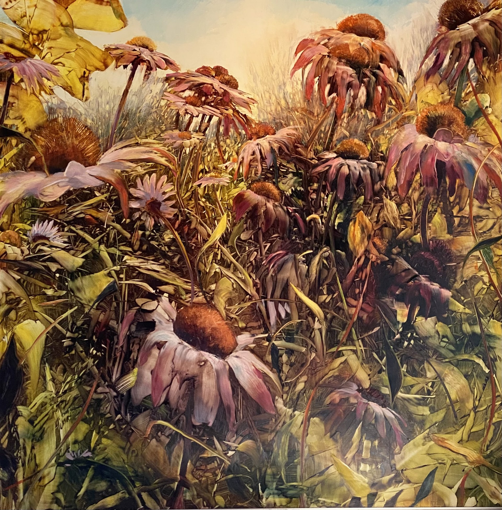 Oil painting on aluminum of pink coneflowers in the late afternoon sun