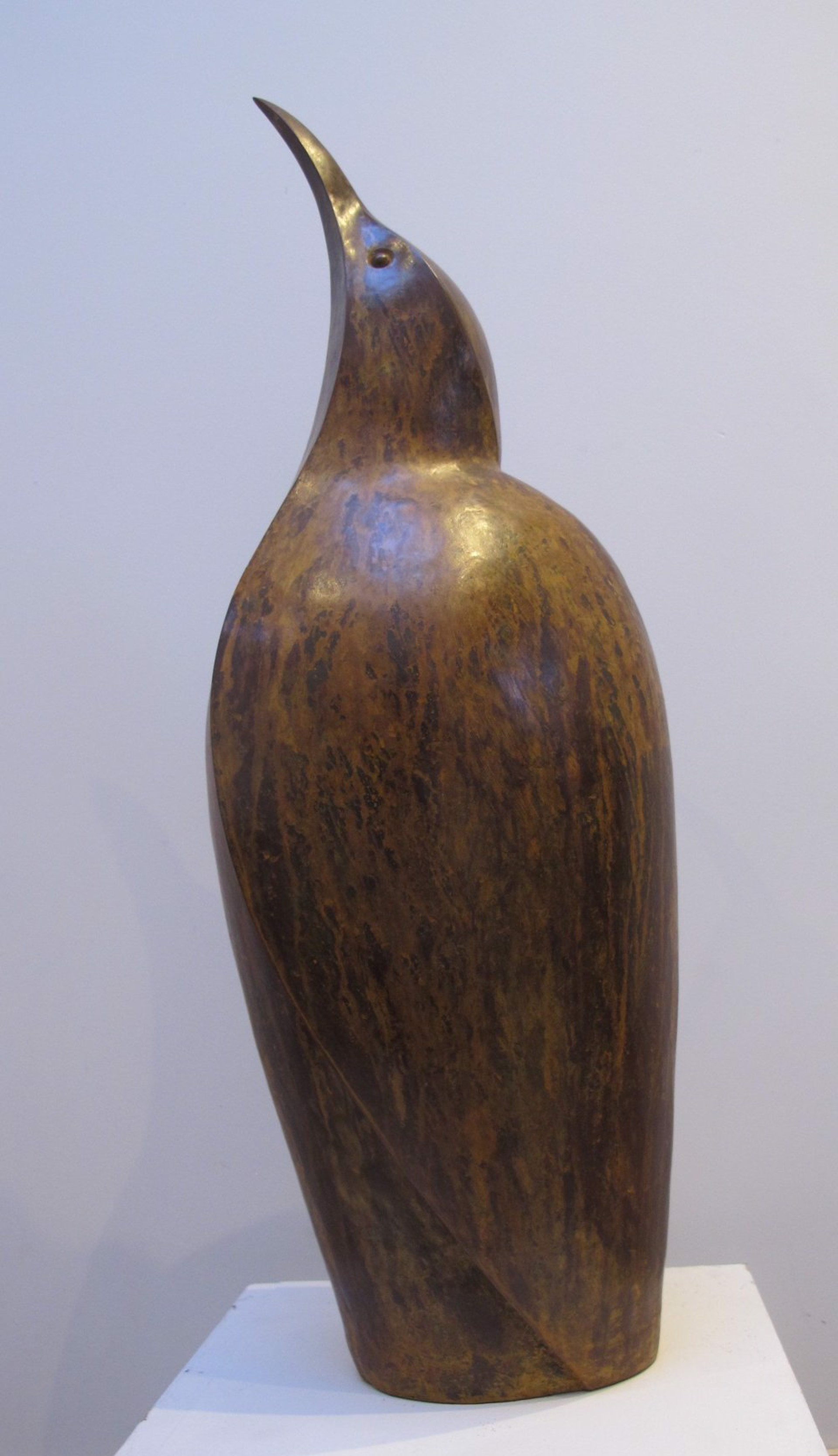 Bittern by Paul Harvey