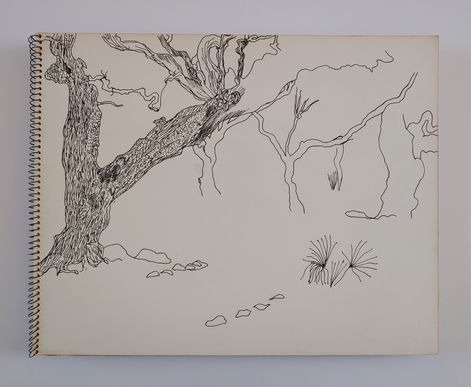March 1972 Sketchbook by David Amdur