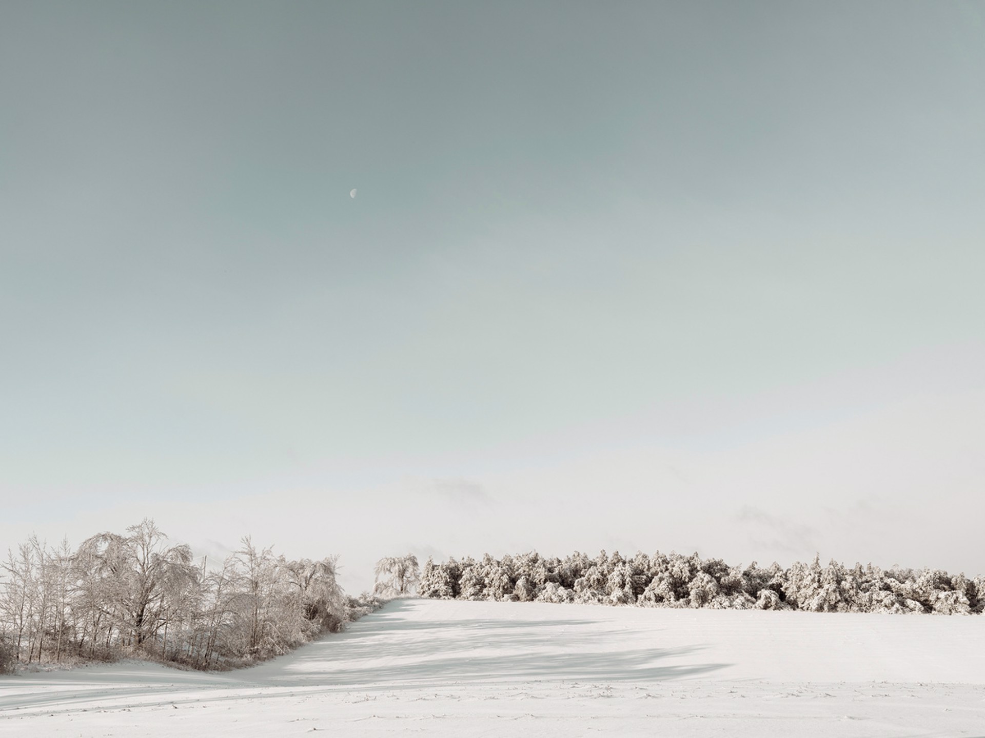 A Field in Winter by Peter McLennan