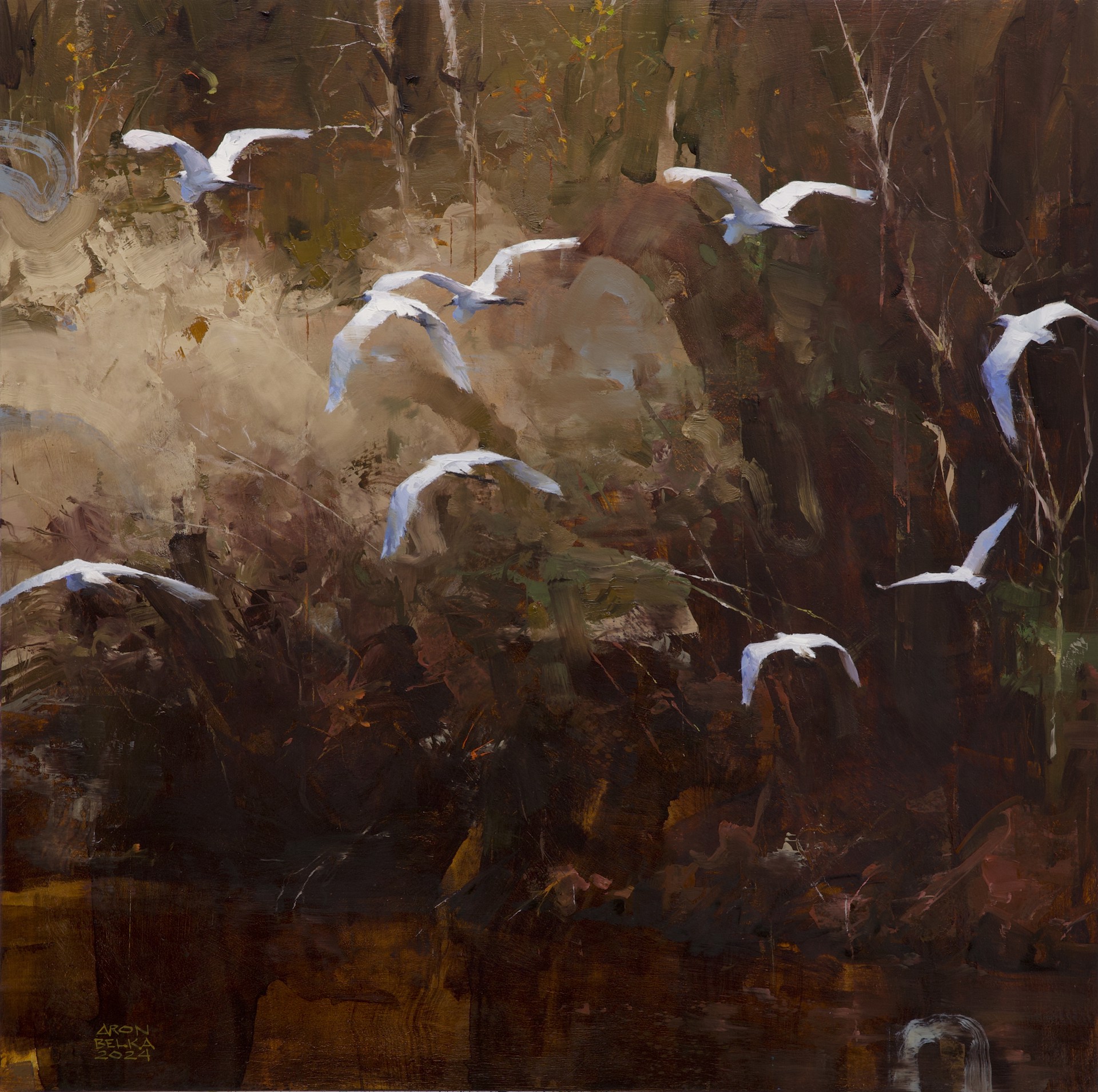 Birds of Passage by Aron Belka