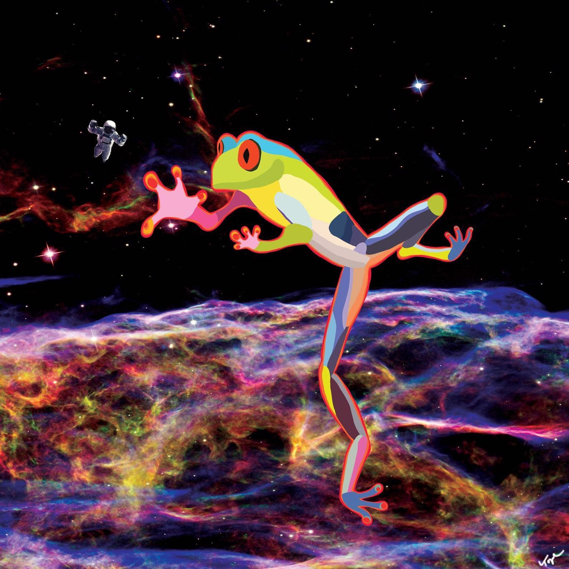 Space Frog by Topher Straus