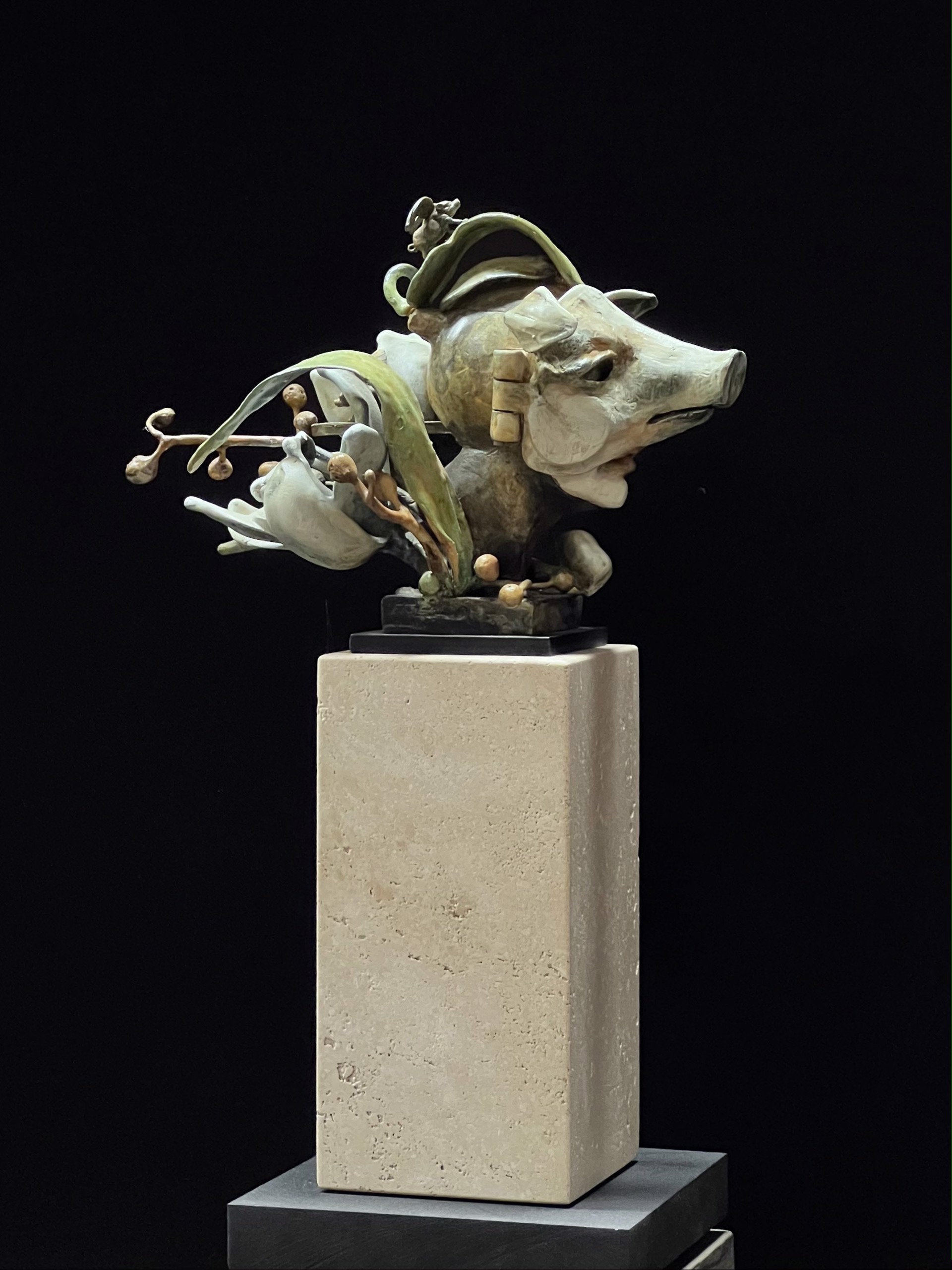 When Pigs Fly by Ted Gall