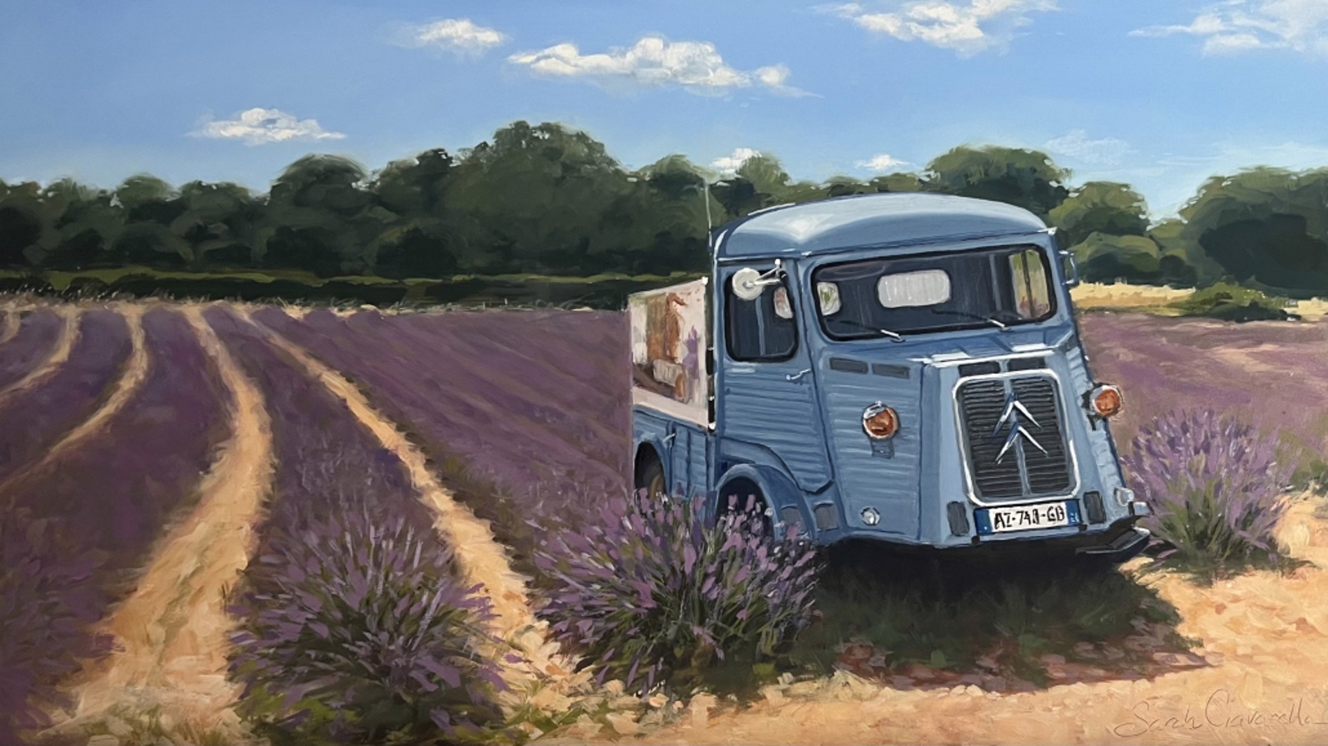 French Lavender by Sarah Ciavarella