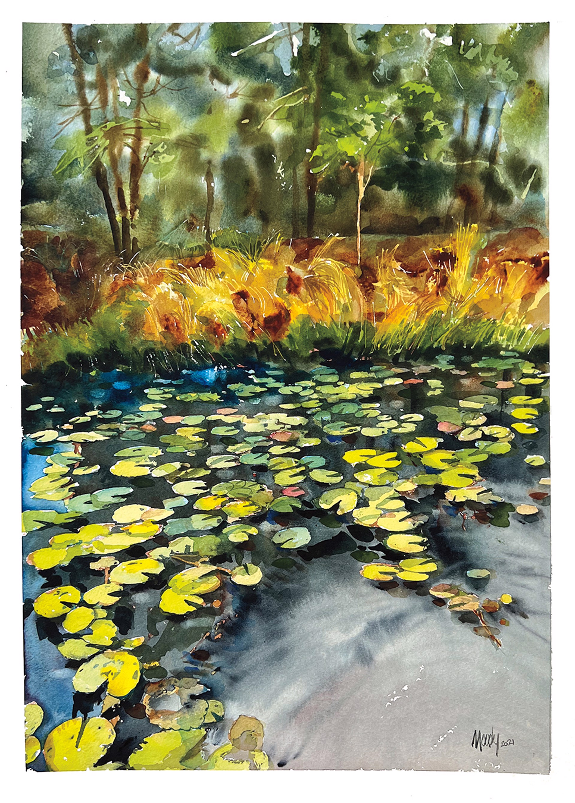 Floating Lilies at Watercolor by Bob Moody