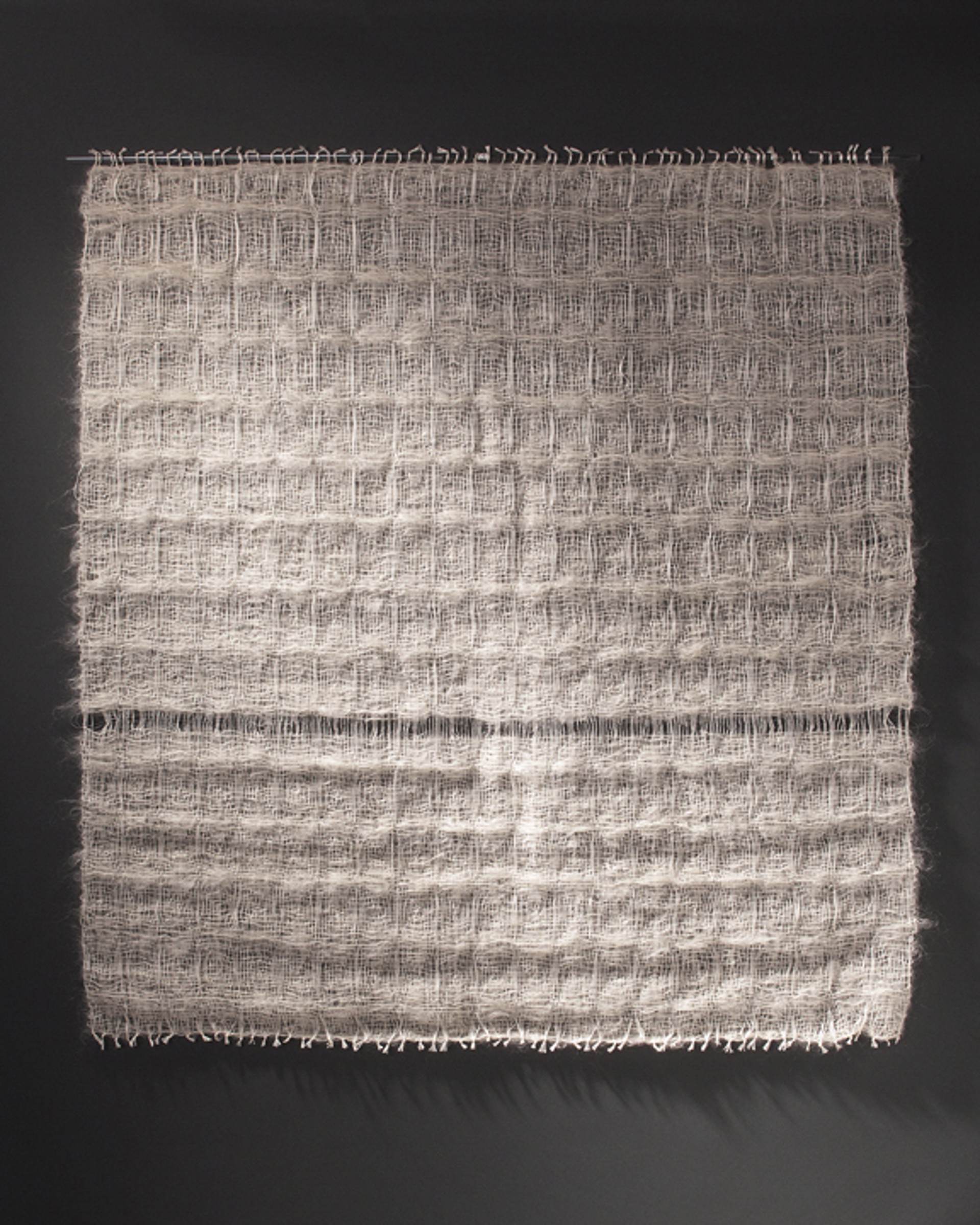 Silk Mohair Monofilament, Line 1 by Katie Glusica