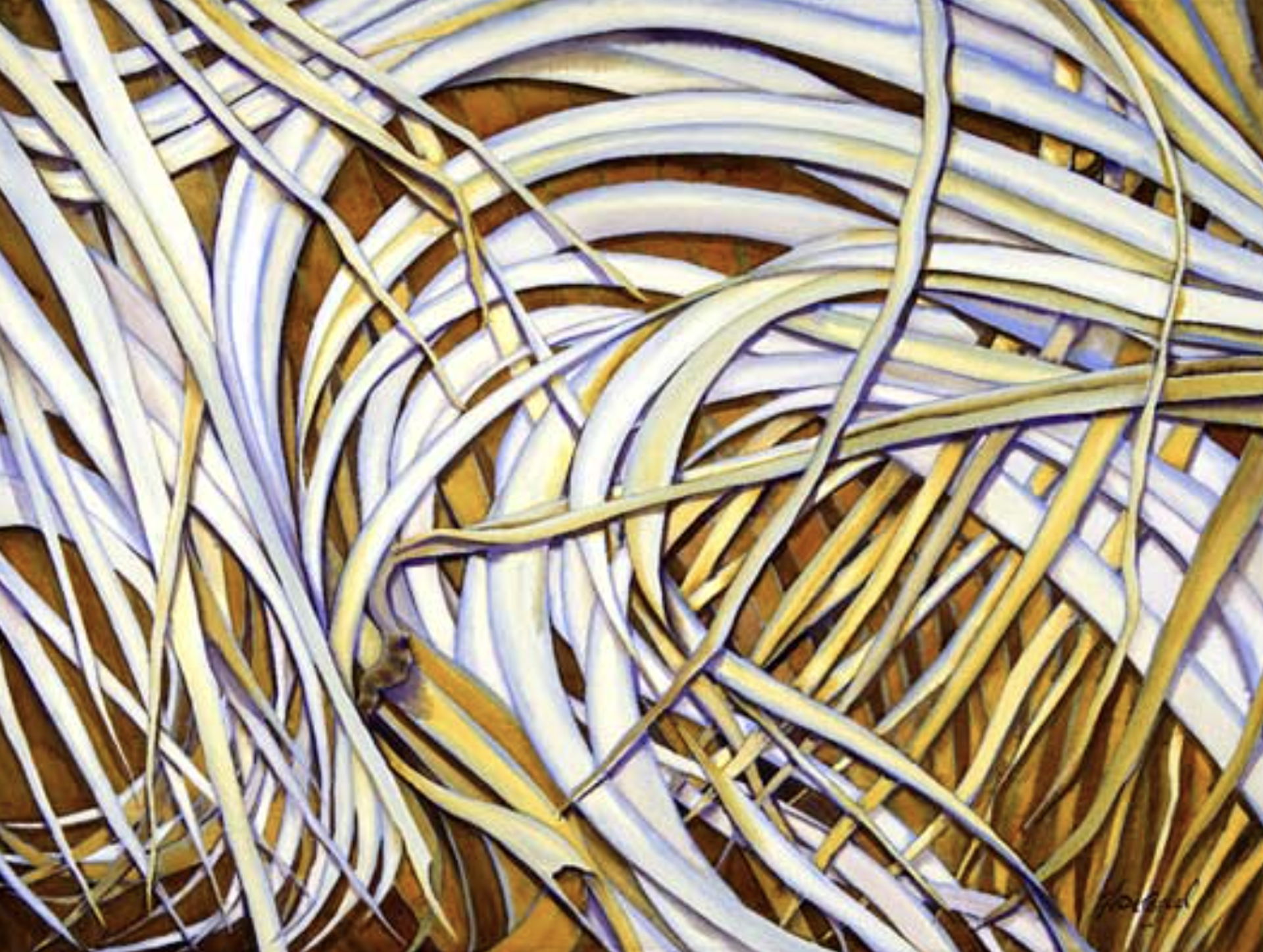 Changing Directions by Patrice Ann Federspiel