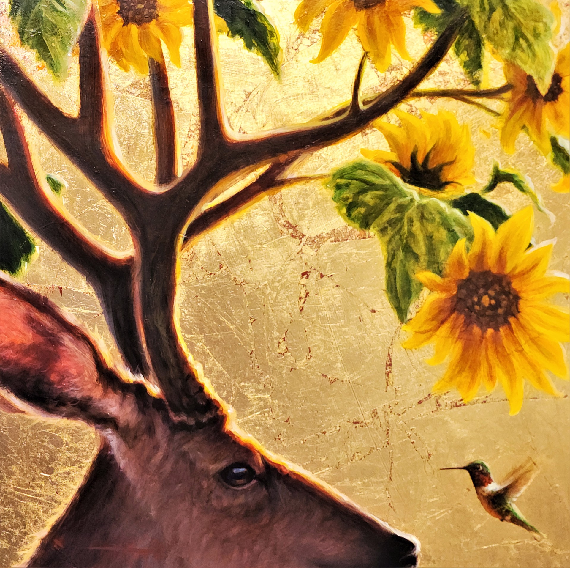 Helianthus Cervidae by Mark Larson