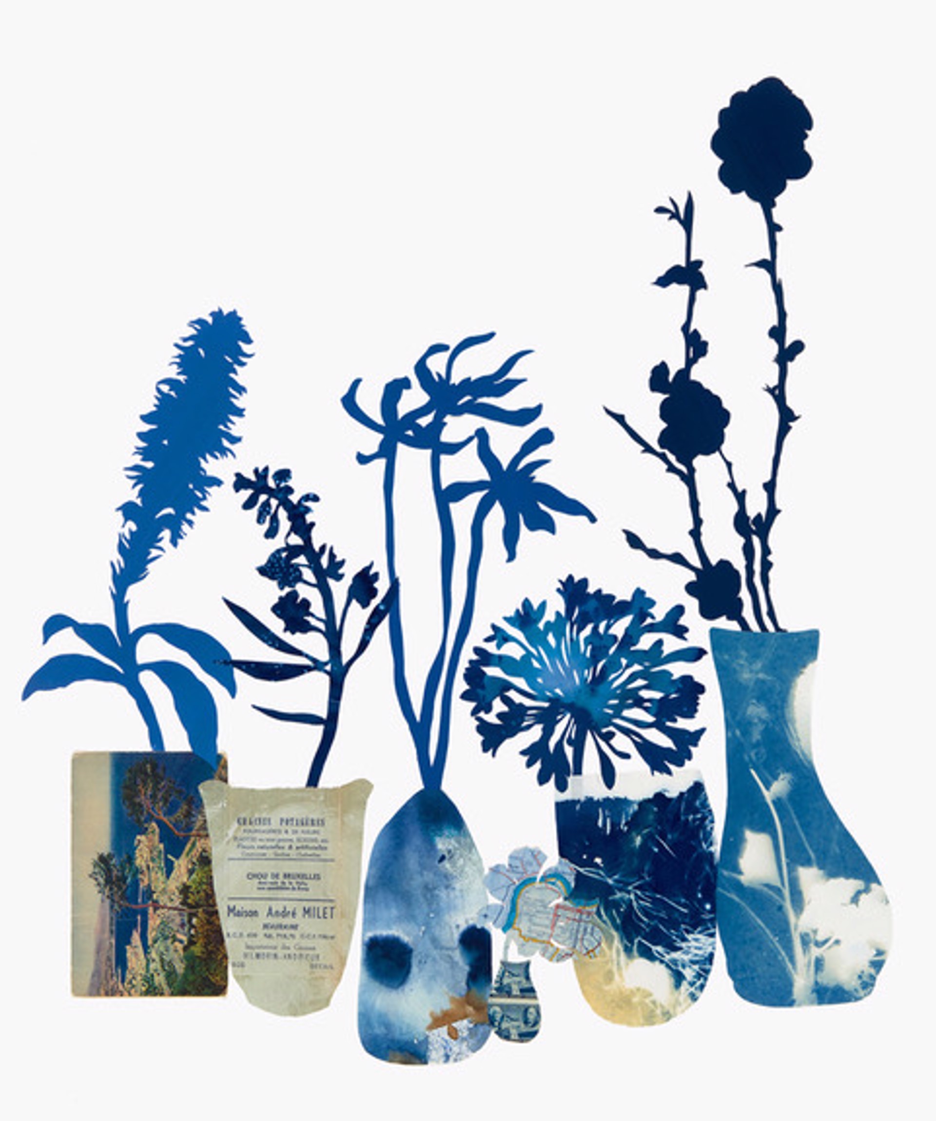 Evening Blooms in Conversation by Deborah Weiss