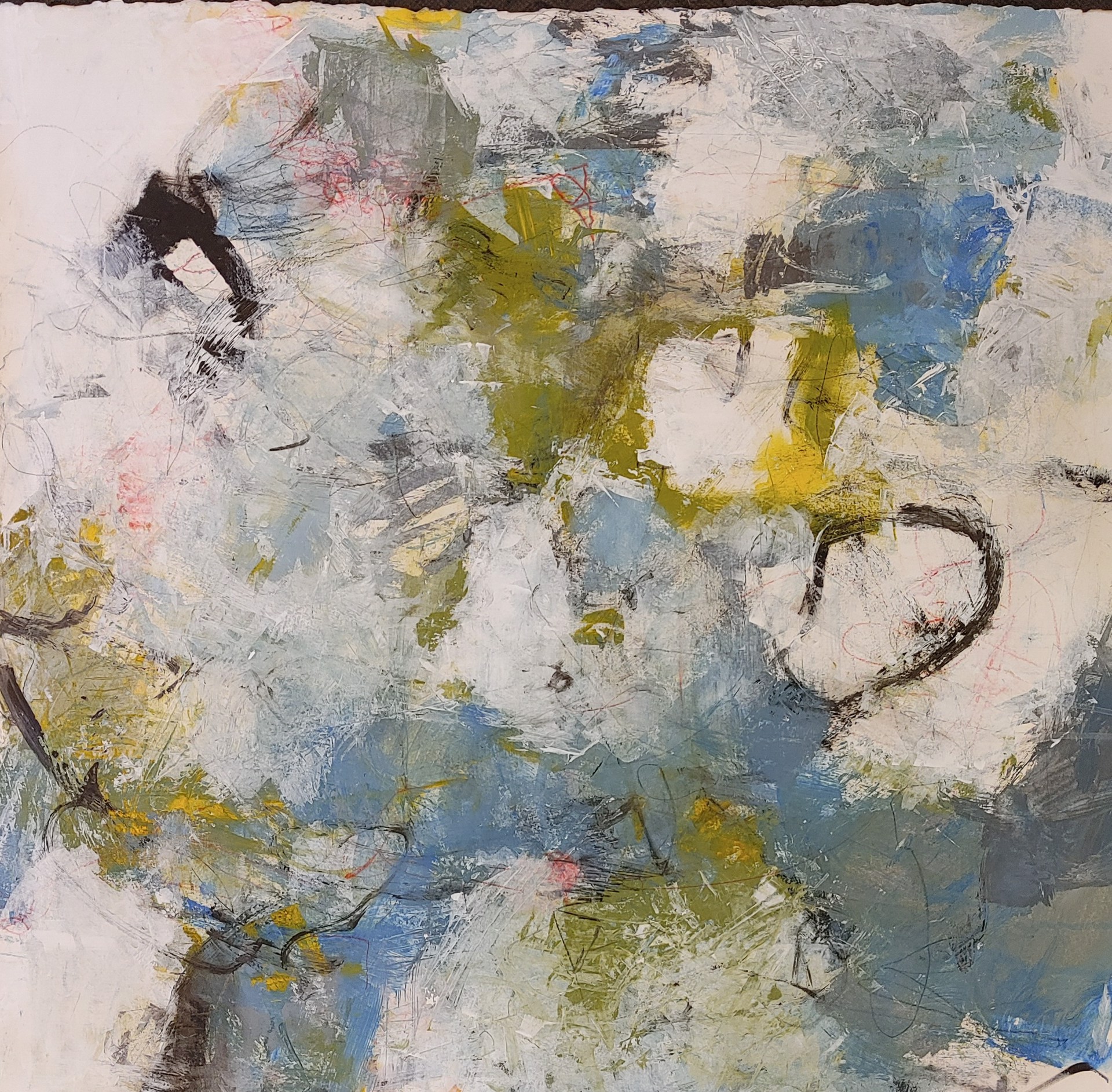 Curious Talk by Ginger Oglesby