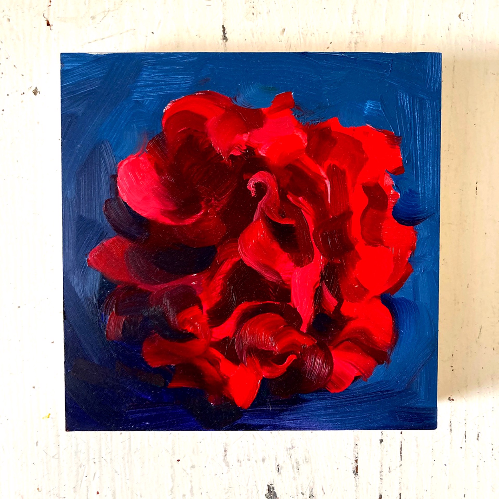 Peony Project #2 by Amy R. Peterson*