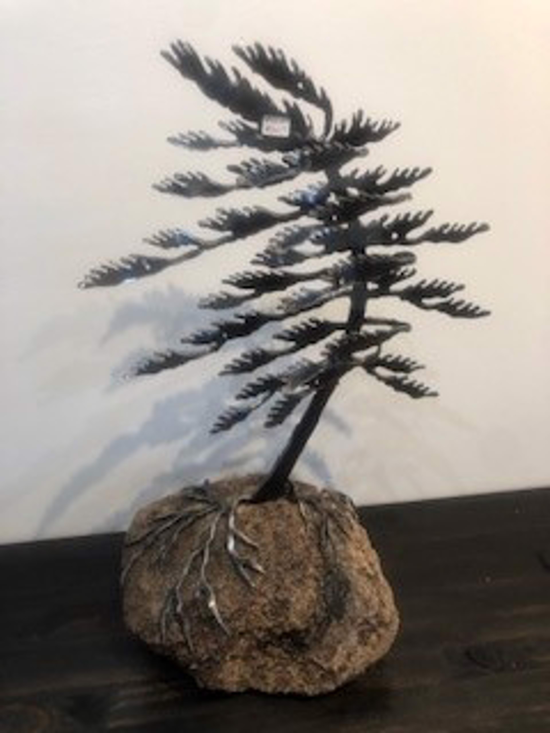 Windswept Pine Tree on a Rock - 6315 by Cathy Mark