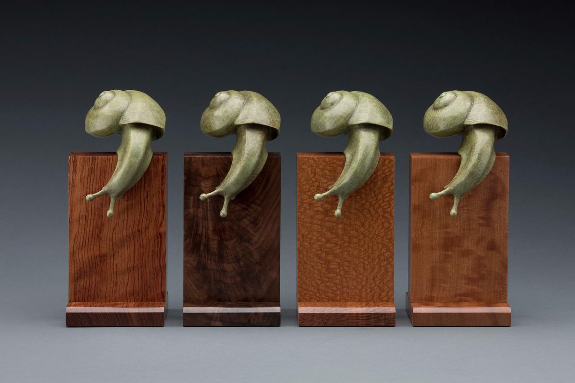 Snail by Tony Hochstetler