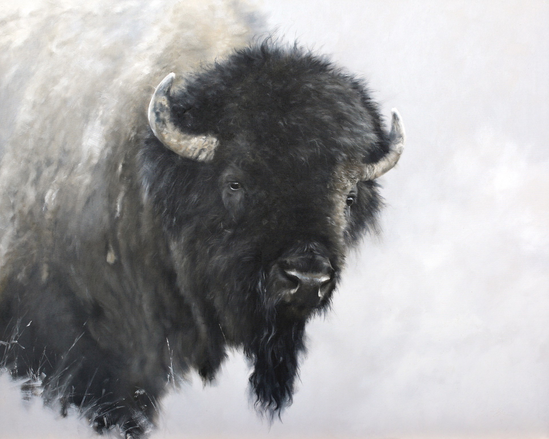 Bison Oil Painting By Doyle Hostetler White Background