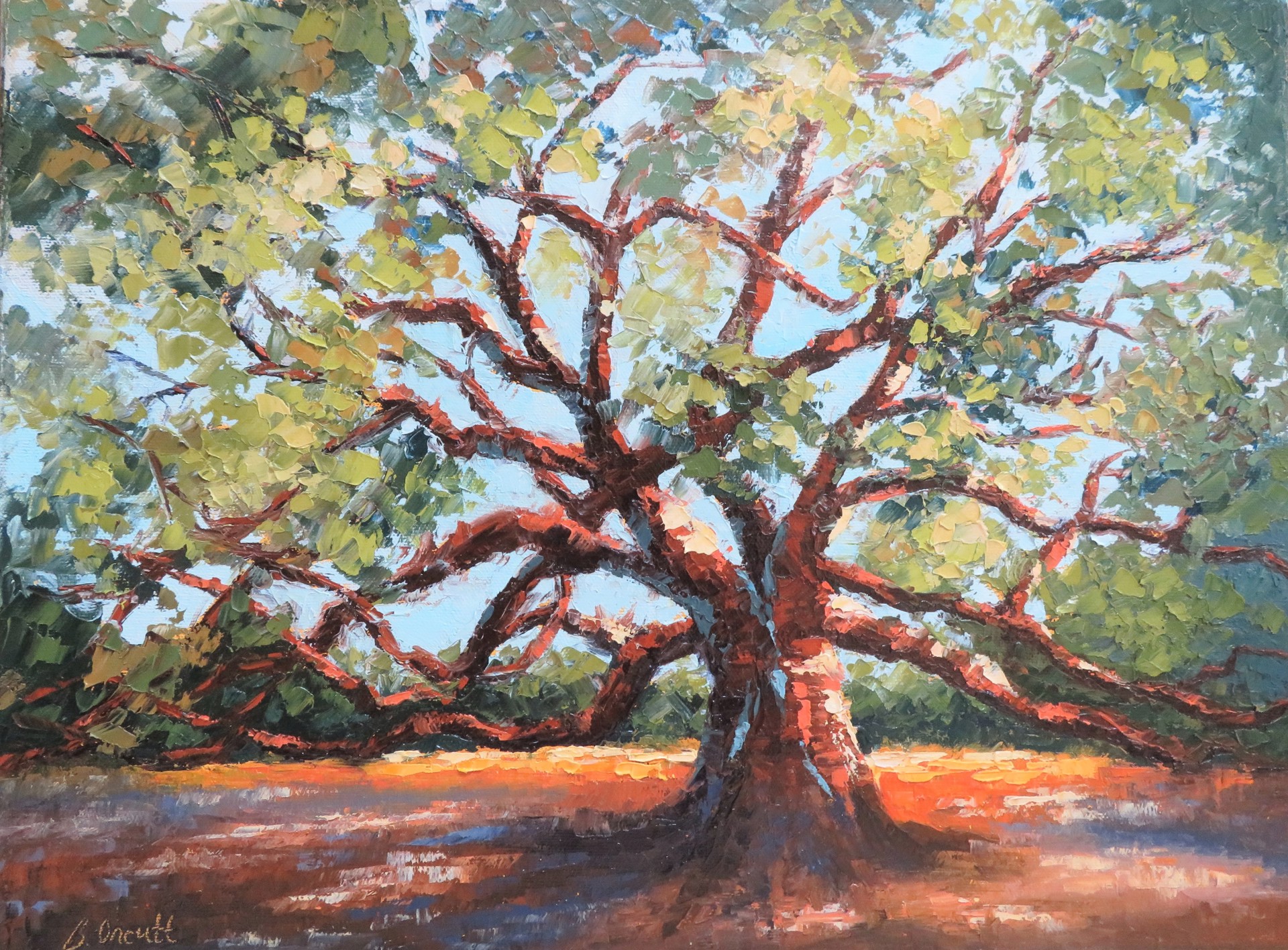 The Ancient Angel Oak by Brenda Orcutt