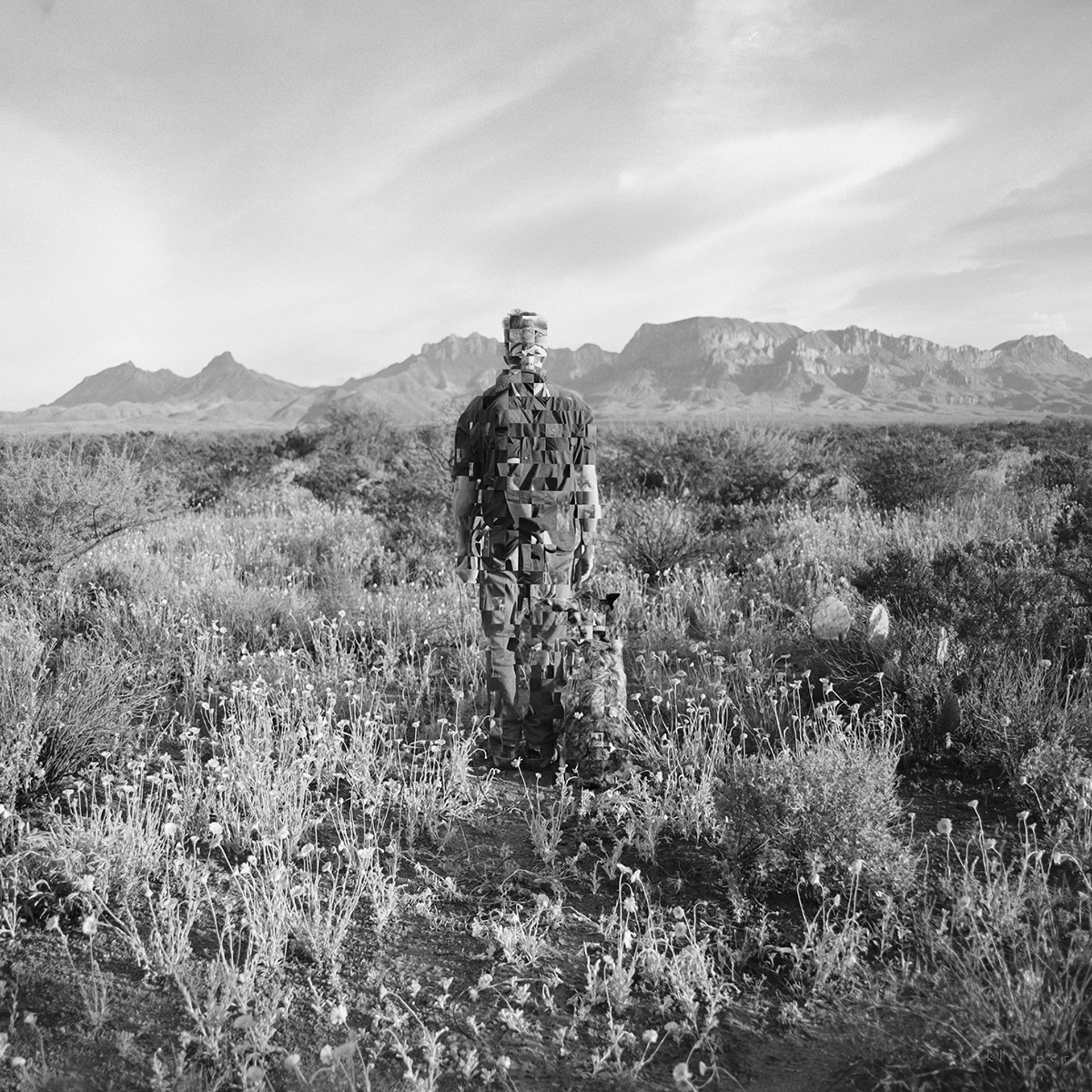 Chisos Portrait with Dog in Marigolds by E. Dan Klepper