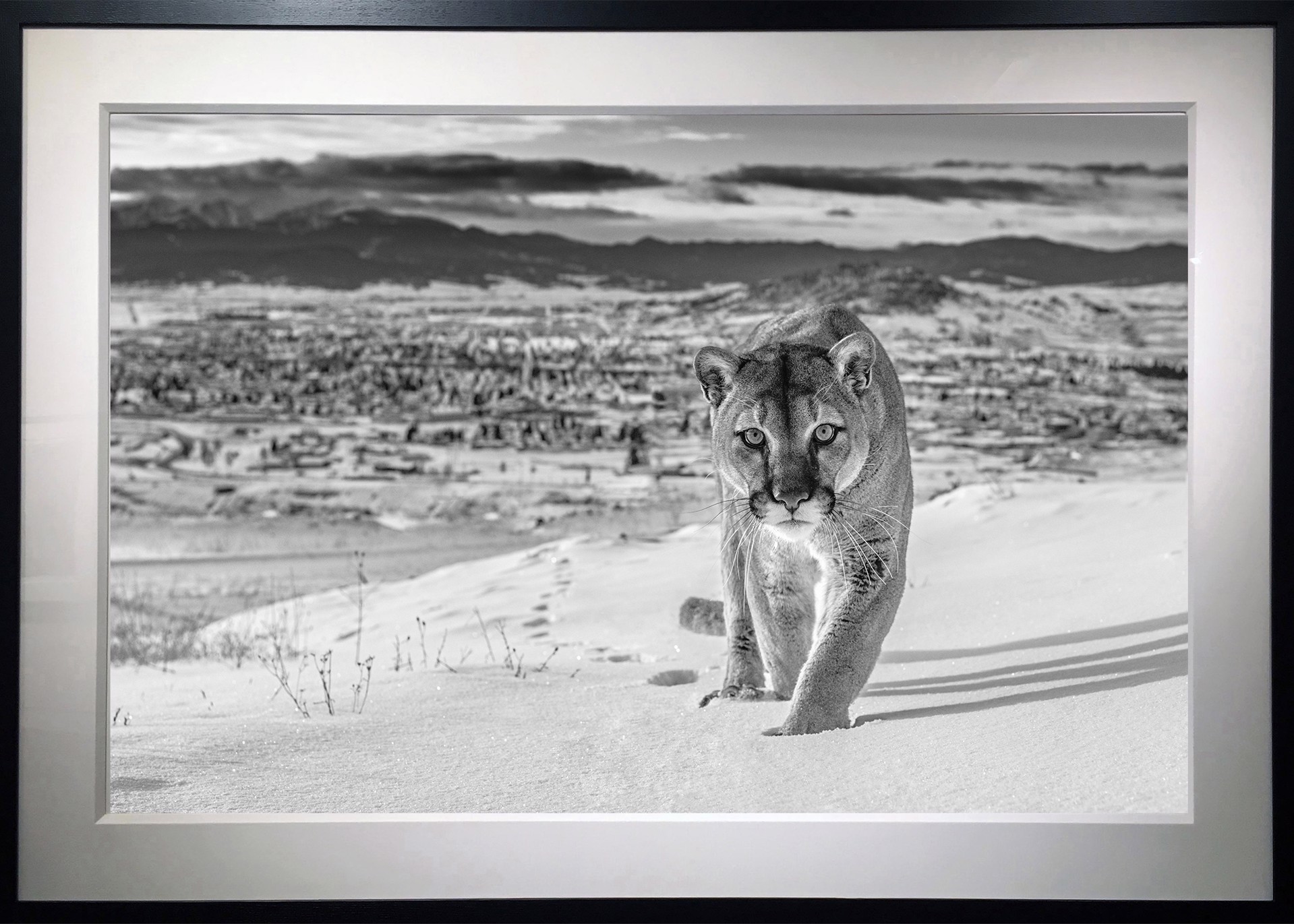 Frontier Town (Black and White) by David Yarrow