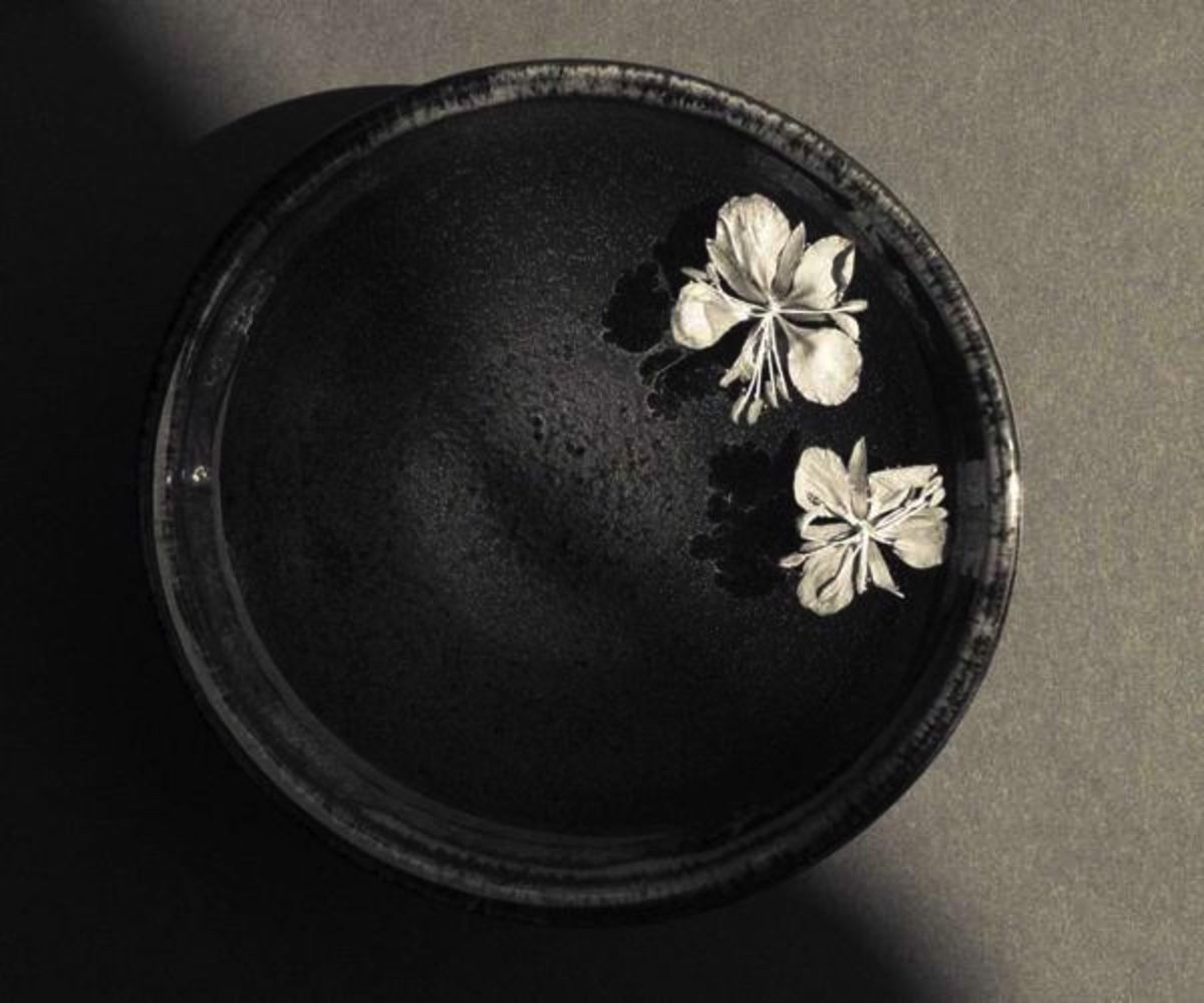Petals and Japanese Bowl by Ken Smith