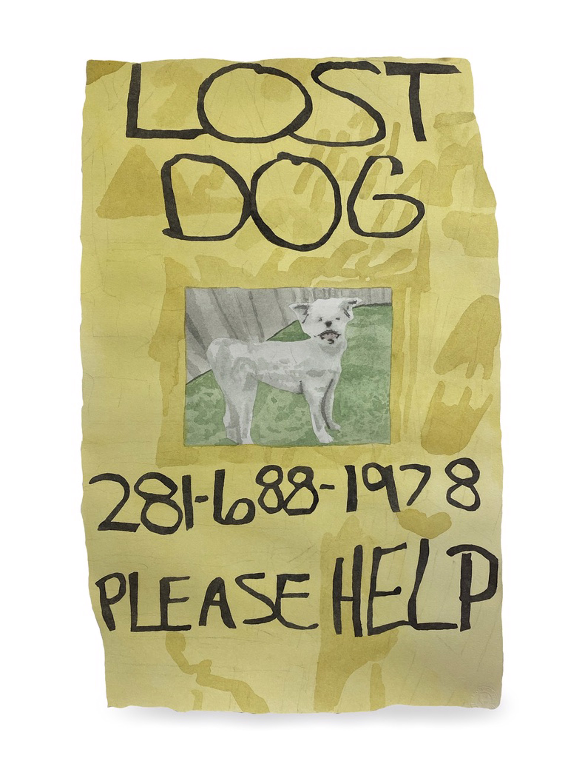 Lost Dog 1 by Bradley Kerl