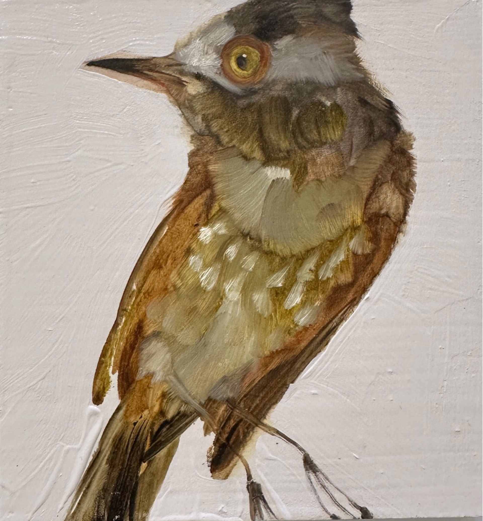 Bird Block (large) by Diane Kilgore Condon
