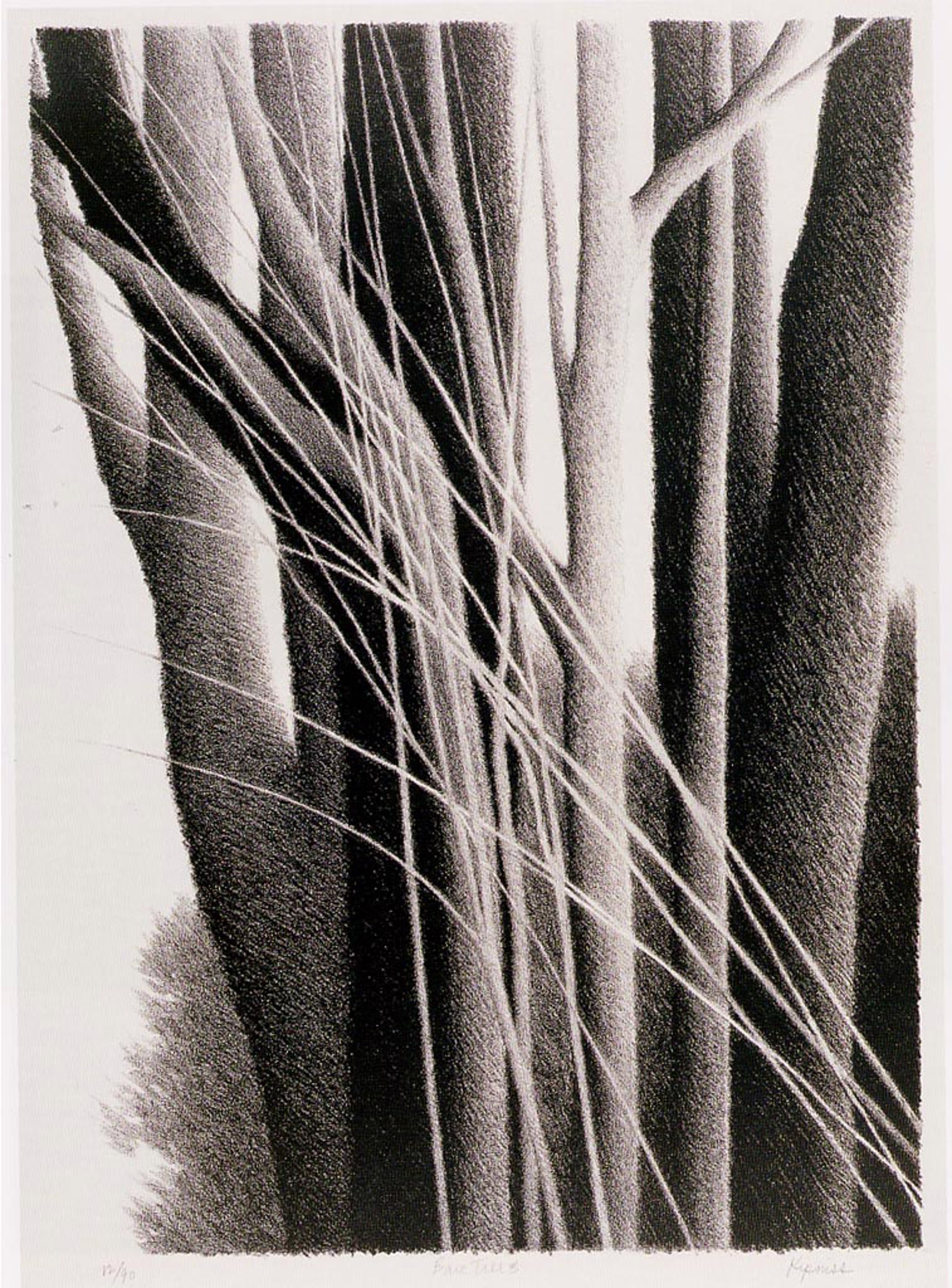 Bare Trees (small) by Robert Kipniss