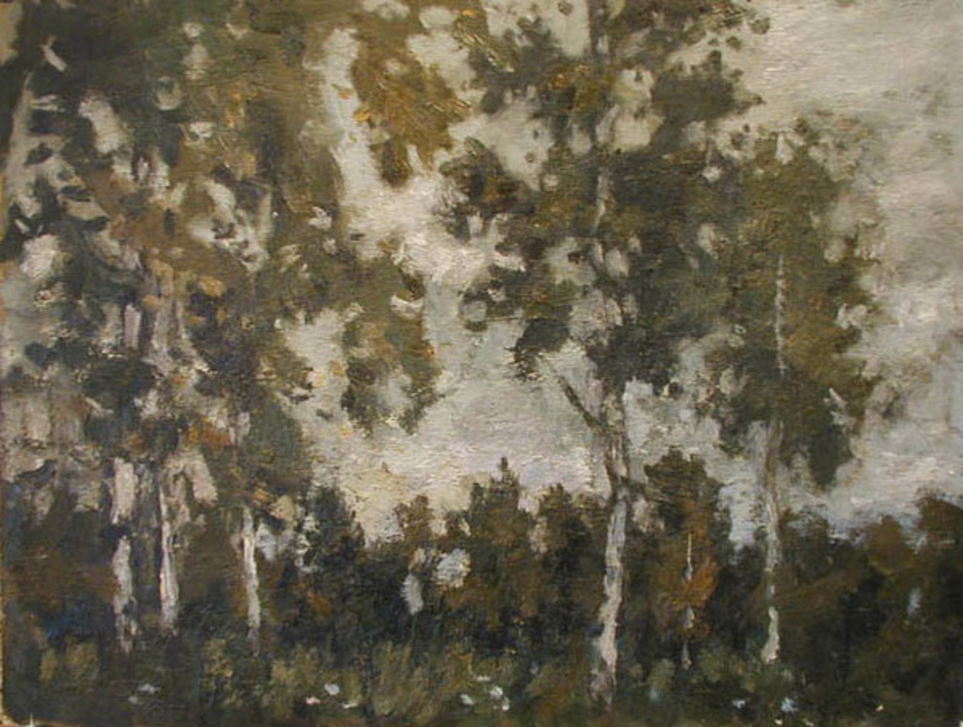 Birch Trees by Vasily Martynov