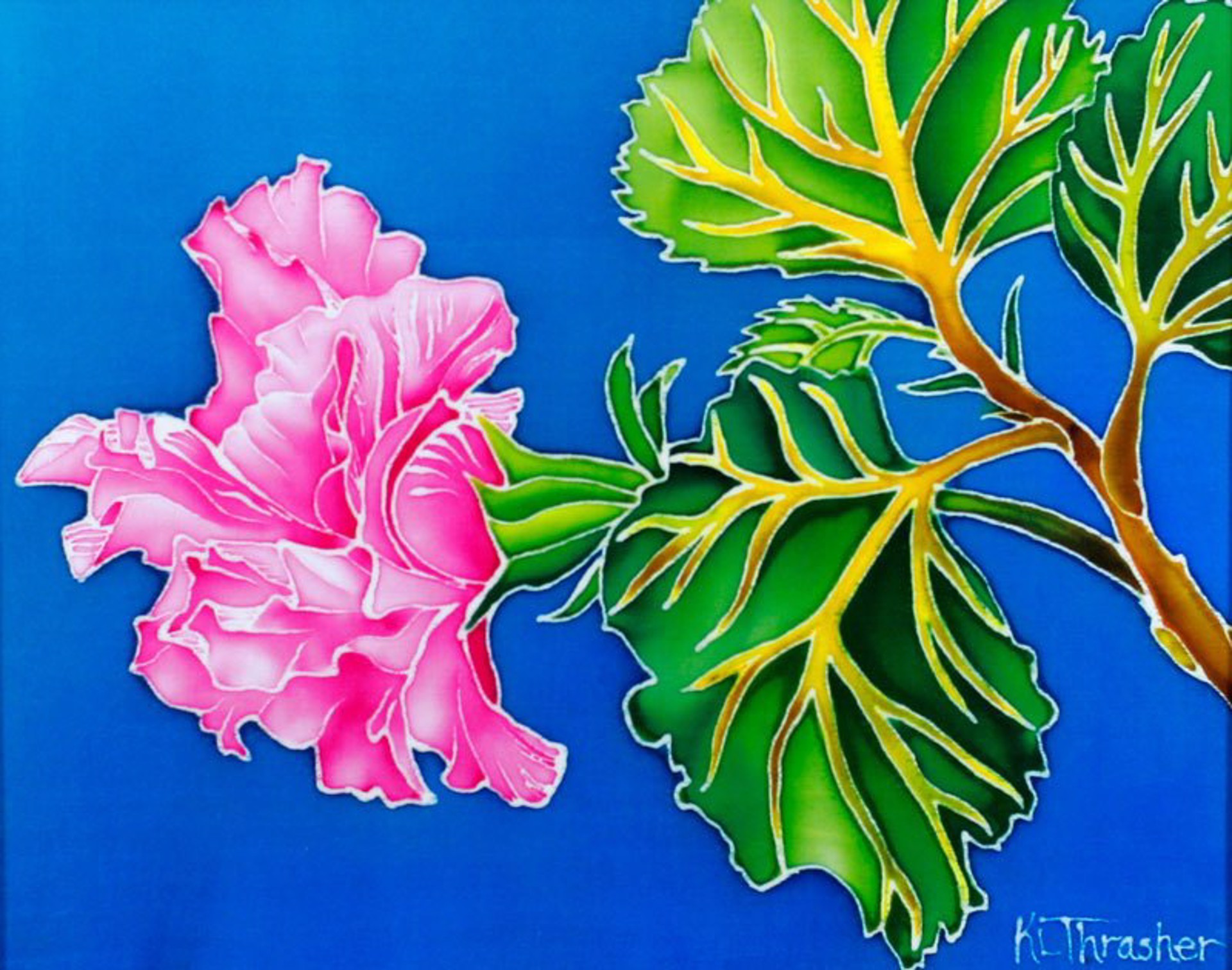 Double Pink Hibiscus by Karen Thrasher